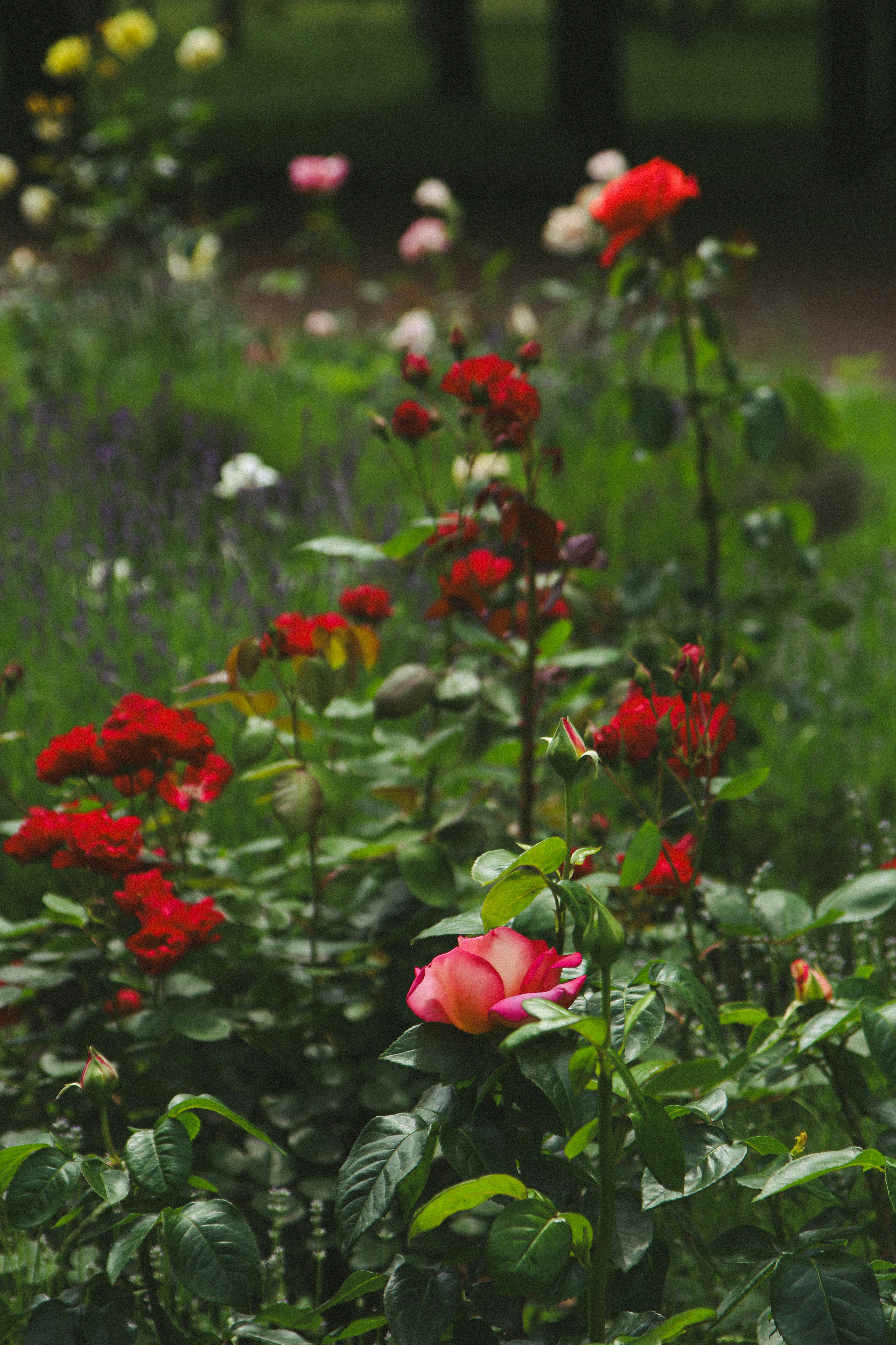 Photo by suleymanovae