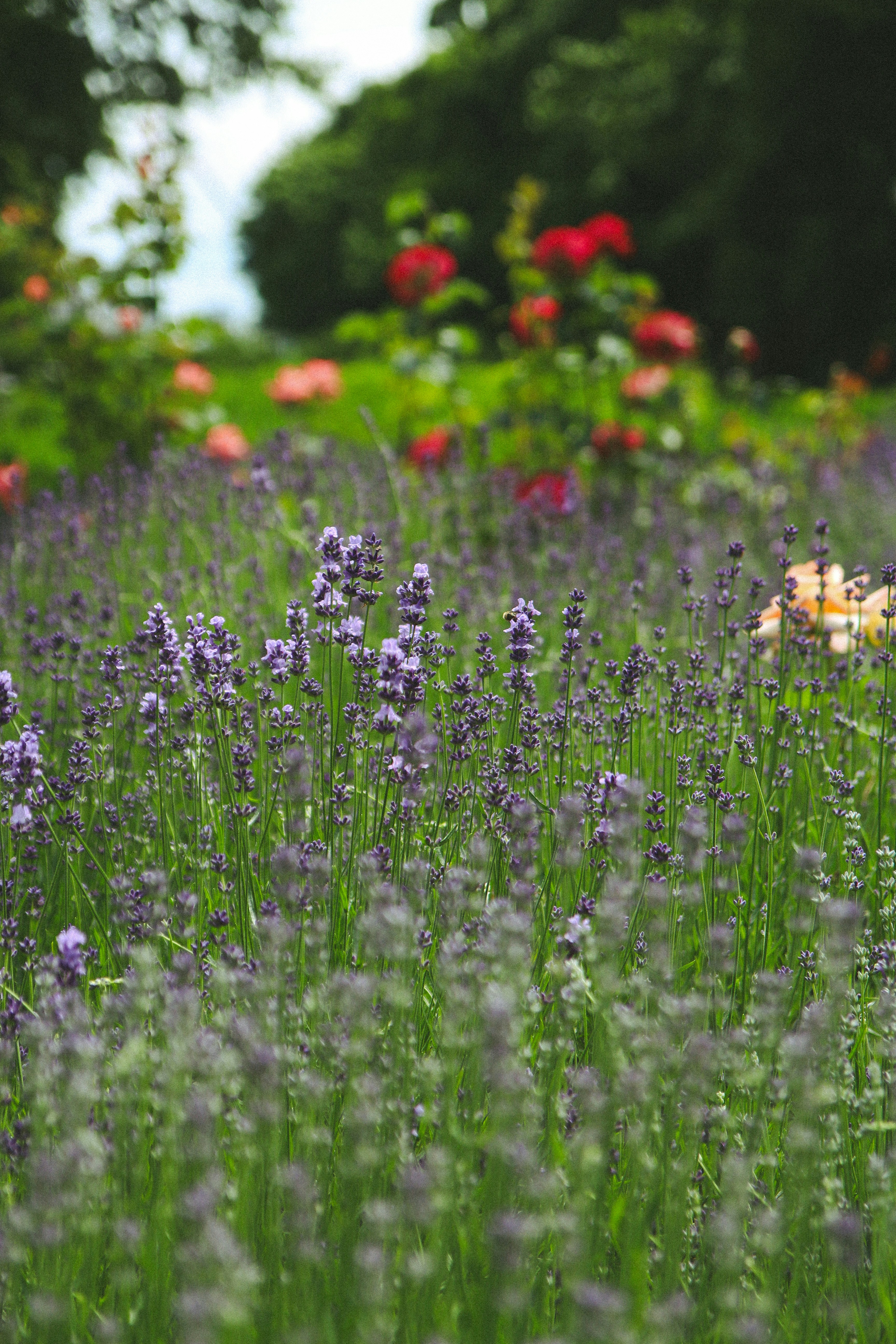 Photo by suleymanovae