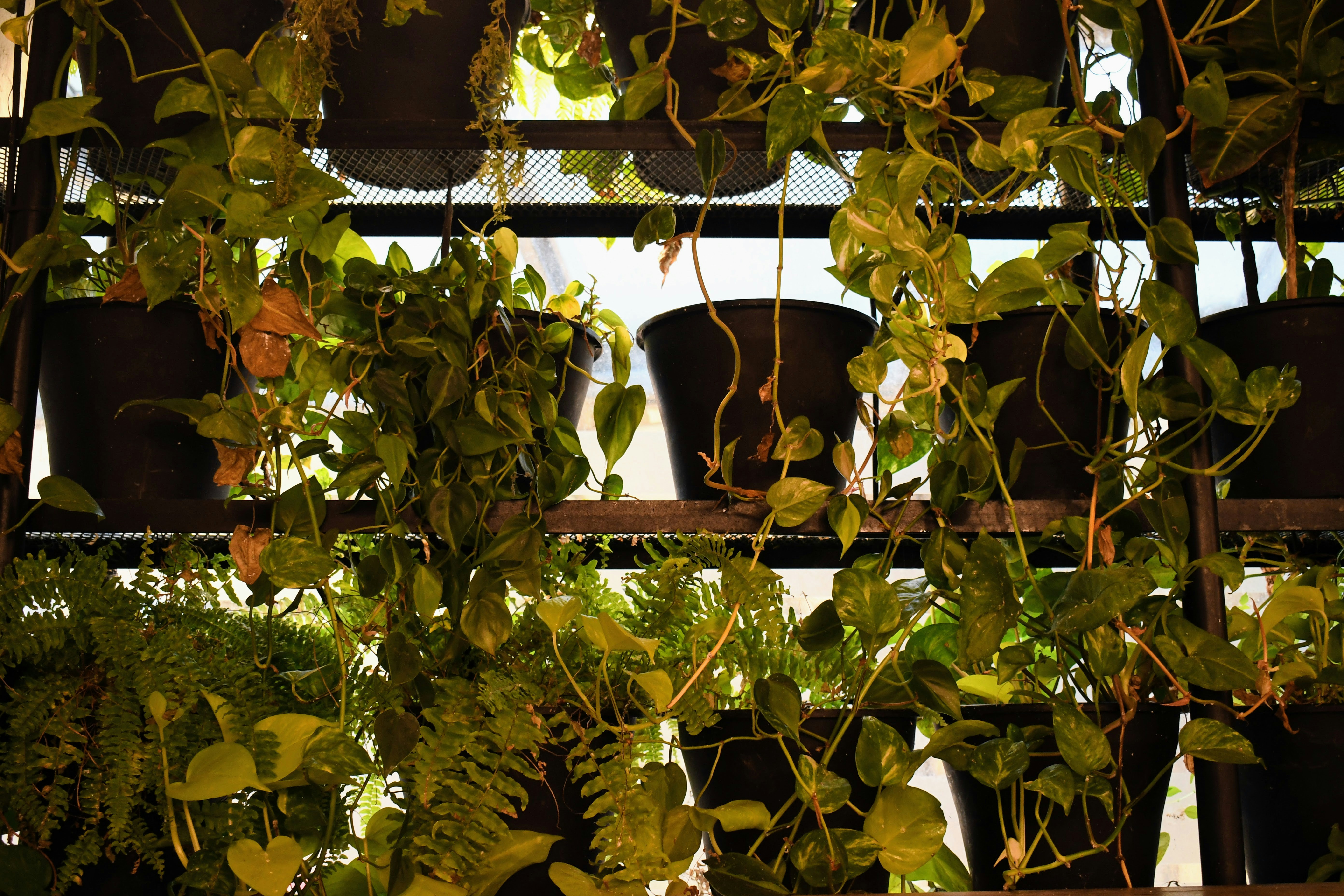 Photo by paul_colorado