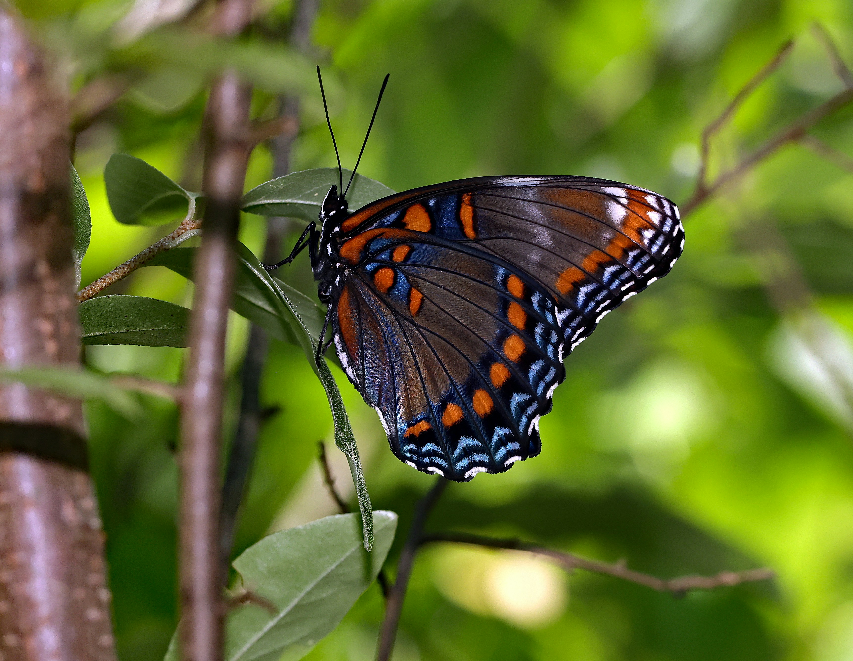 Photo by telliottmbamsc