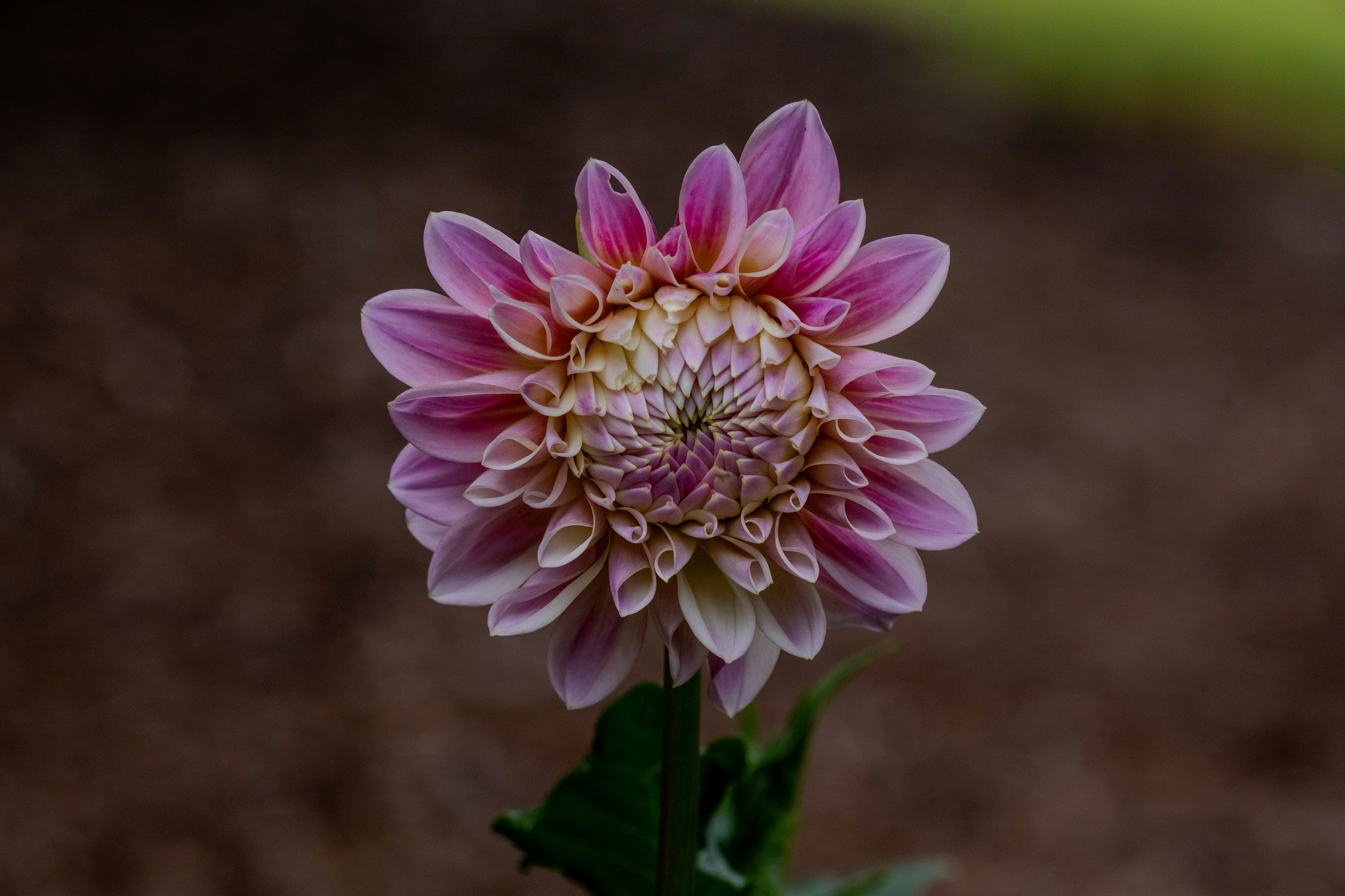 Photo by msmith0912