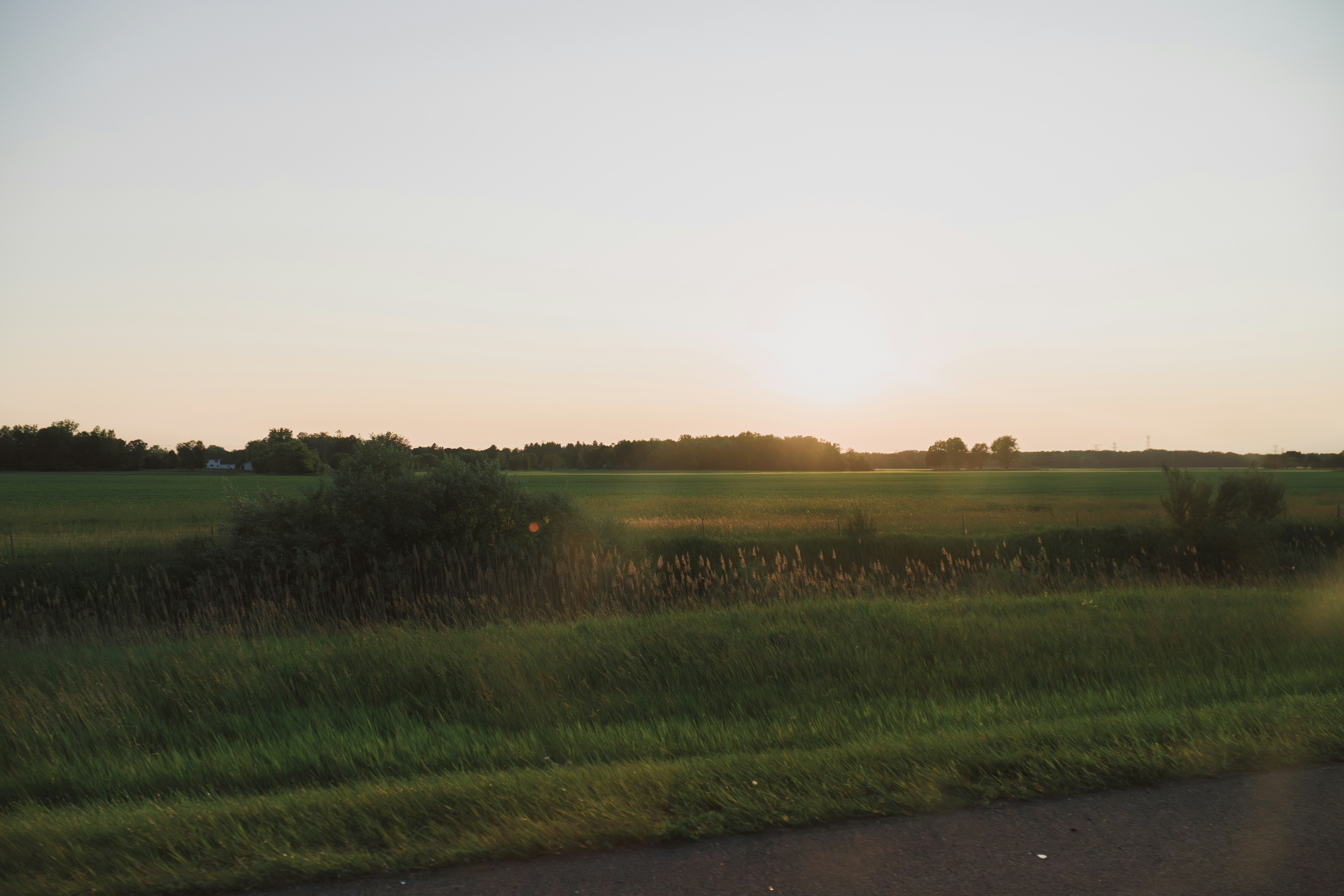 緑の野原に沈む夕日。