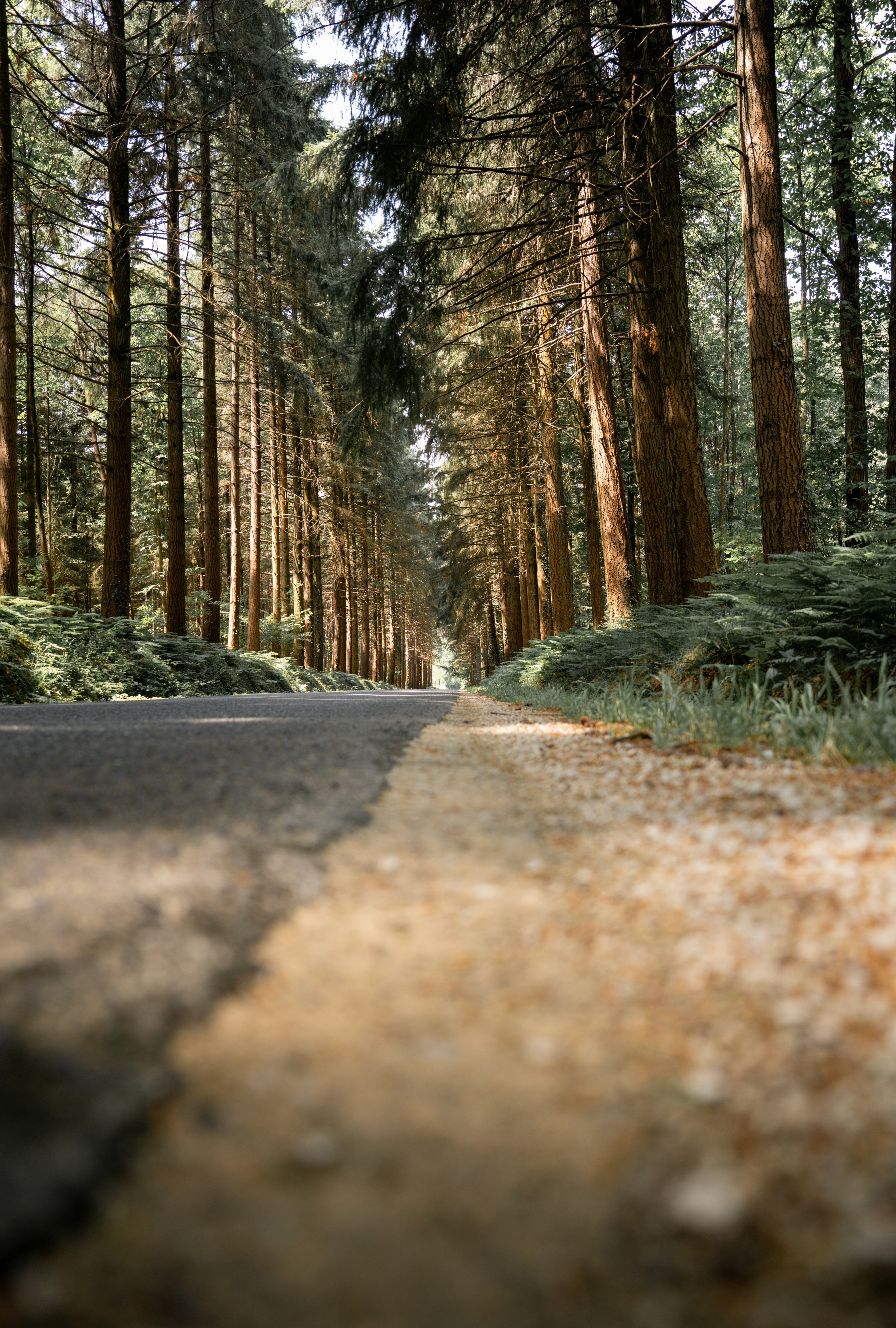 Photo by tlamtran_11