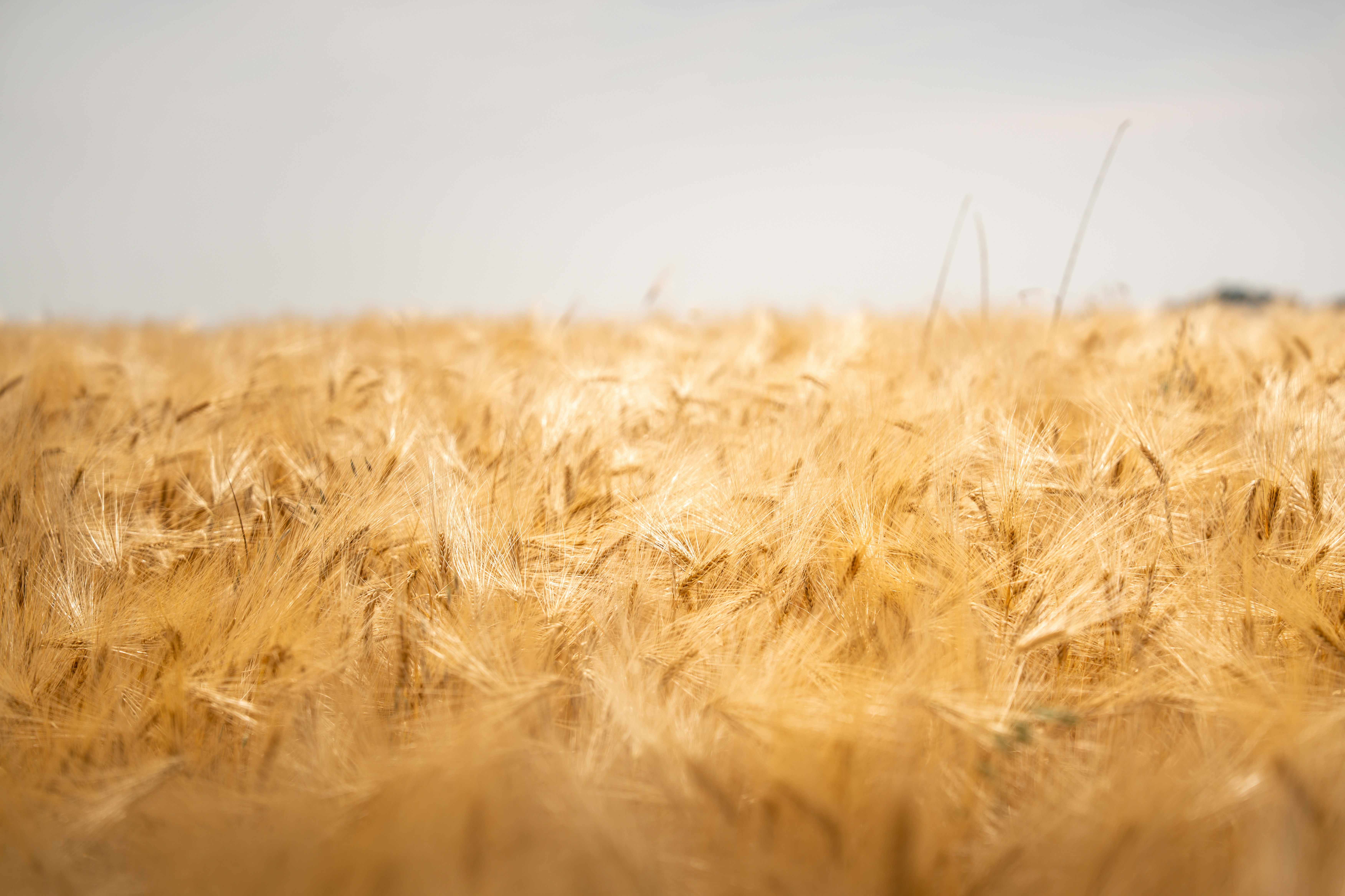 Photo by tlamtran_11