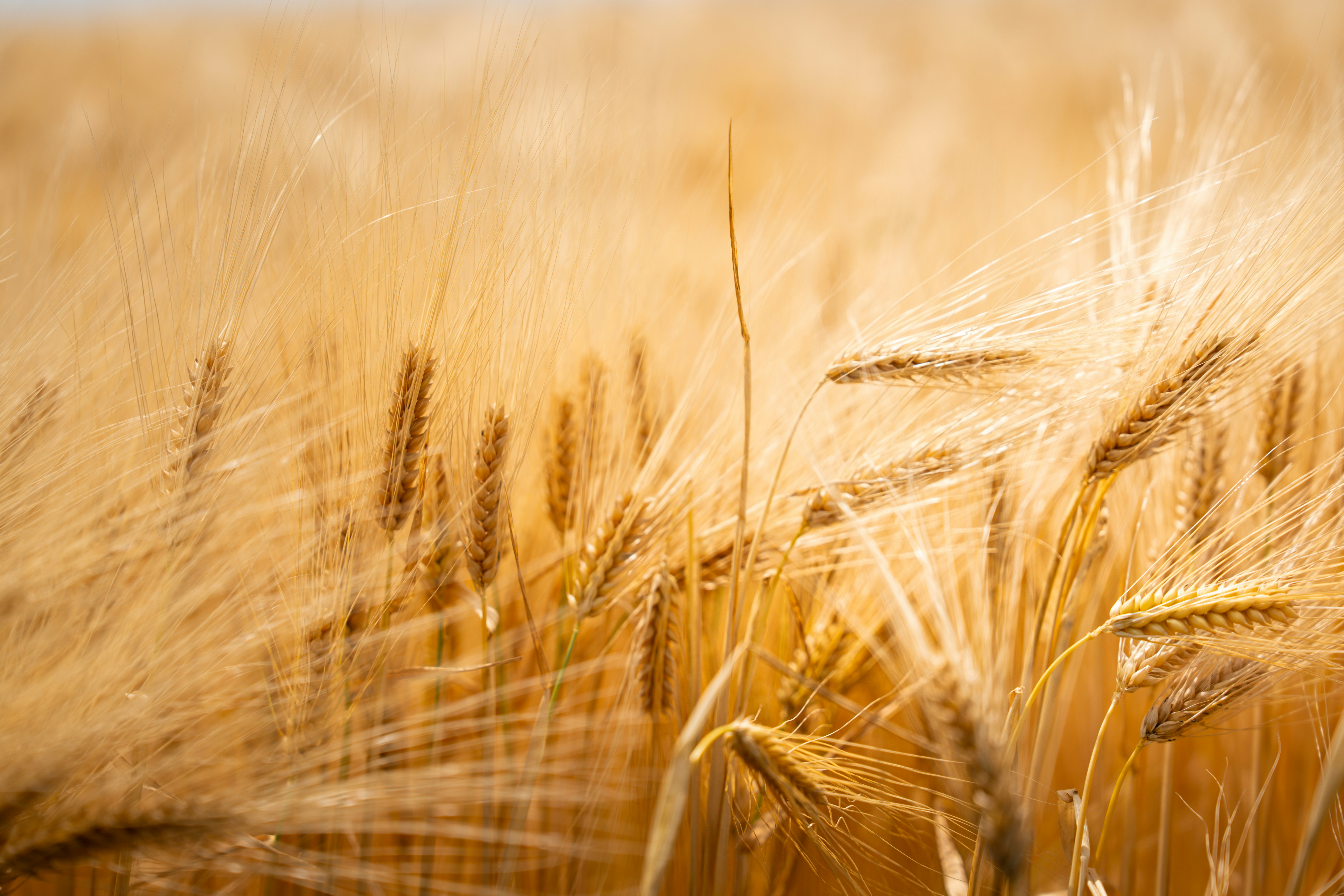 Photo by tlamtran_11