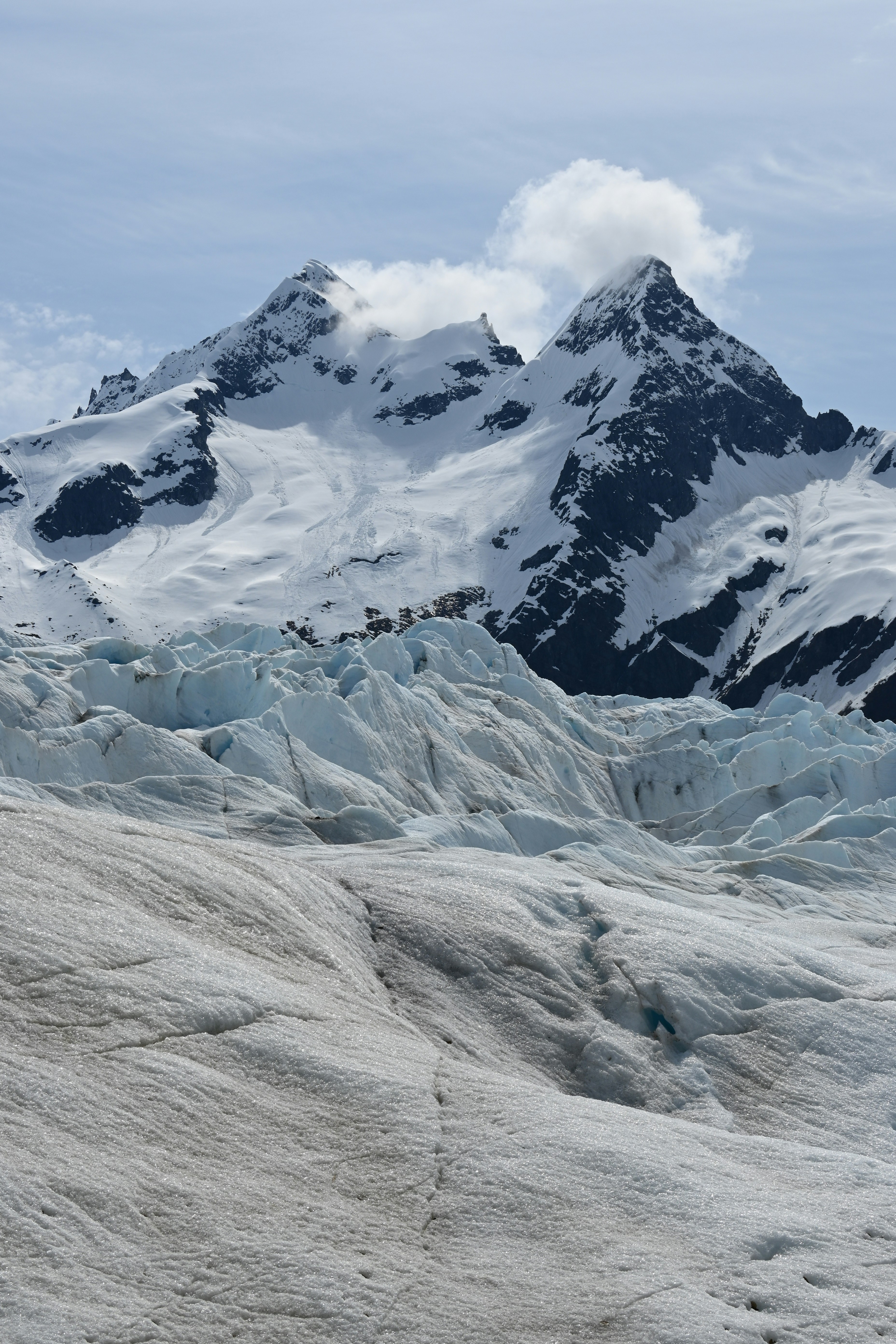 Photo by vegie_photo