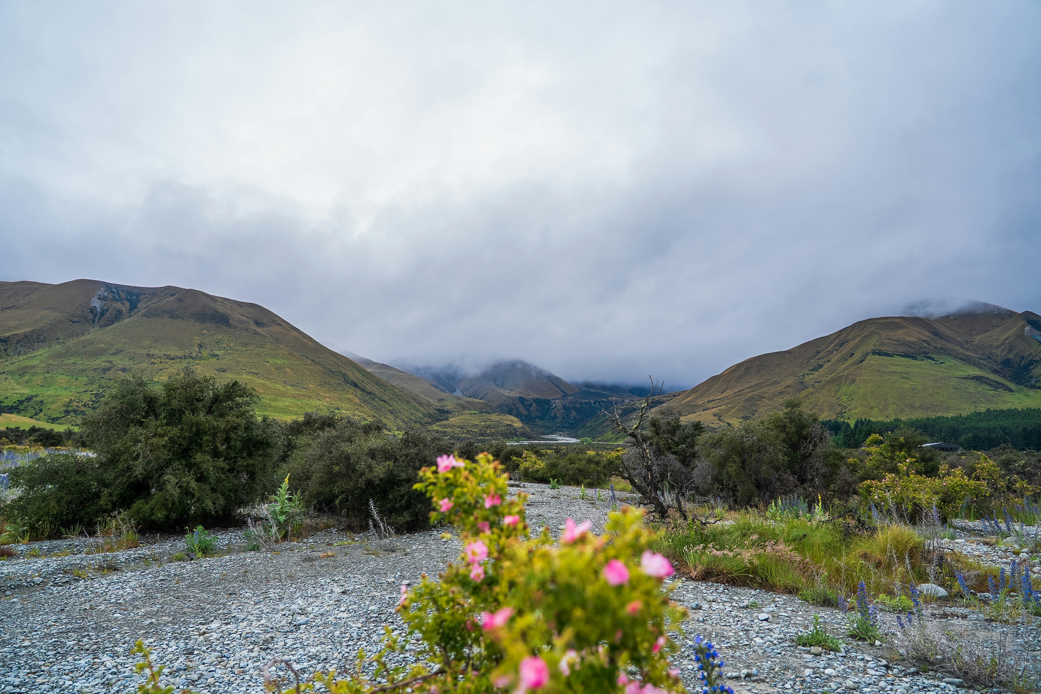 Mountains and flowers under a cloudy sky., 