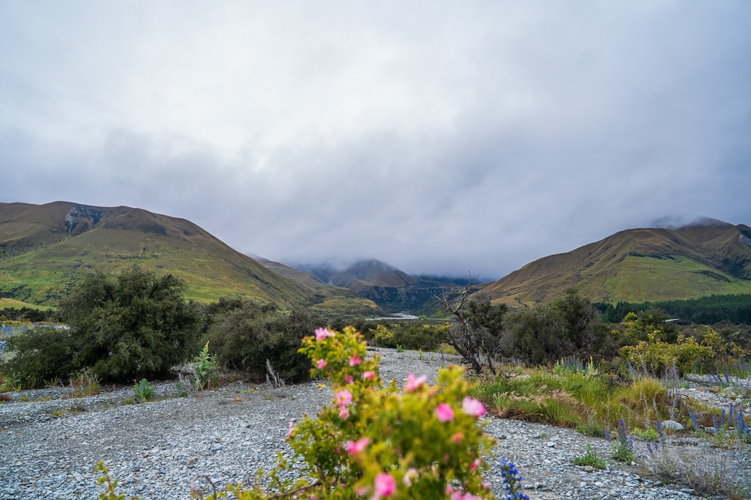 Mountains and flowers under a cloudy sky.,