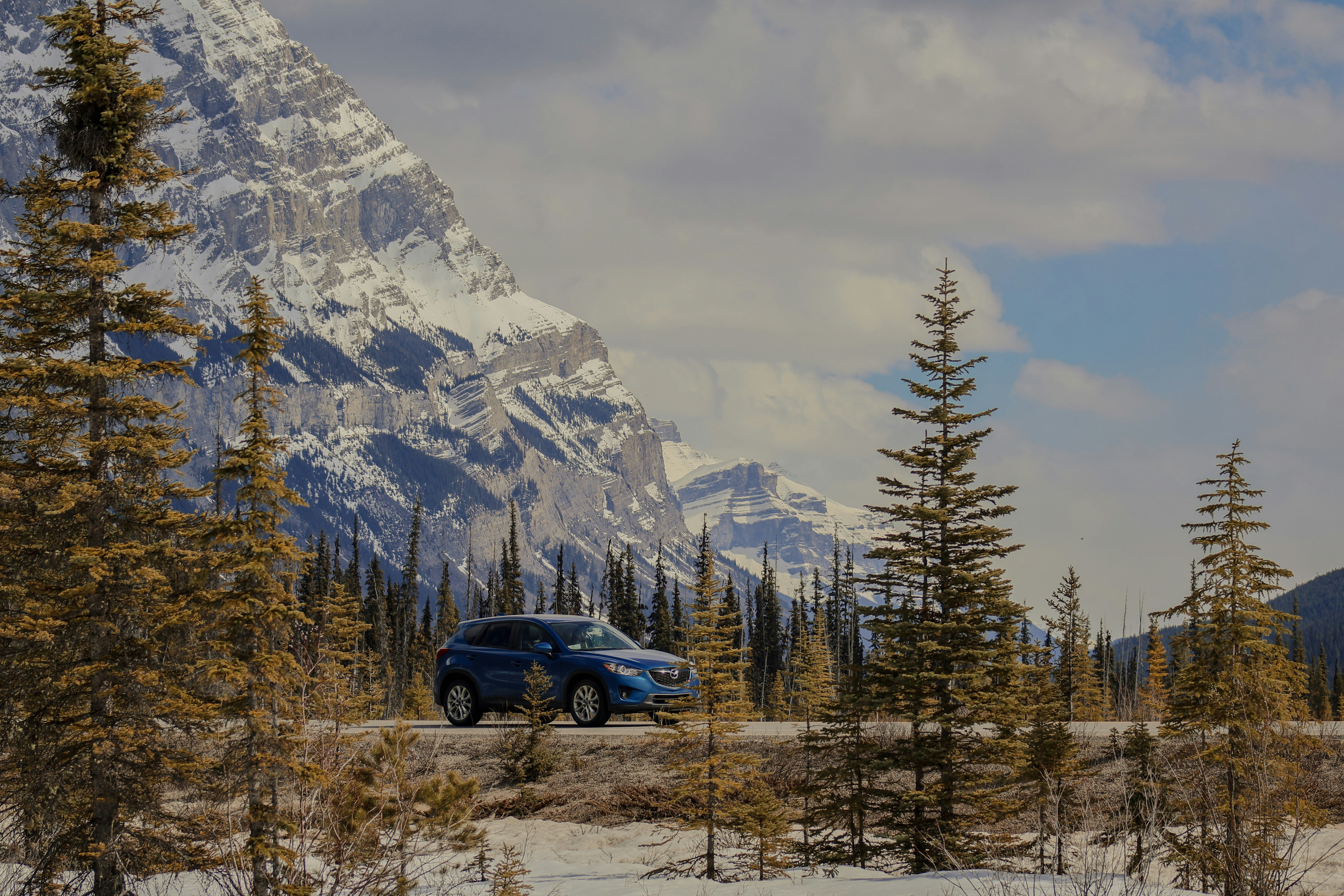 صورة المعرض