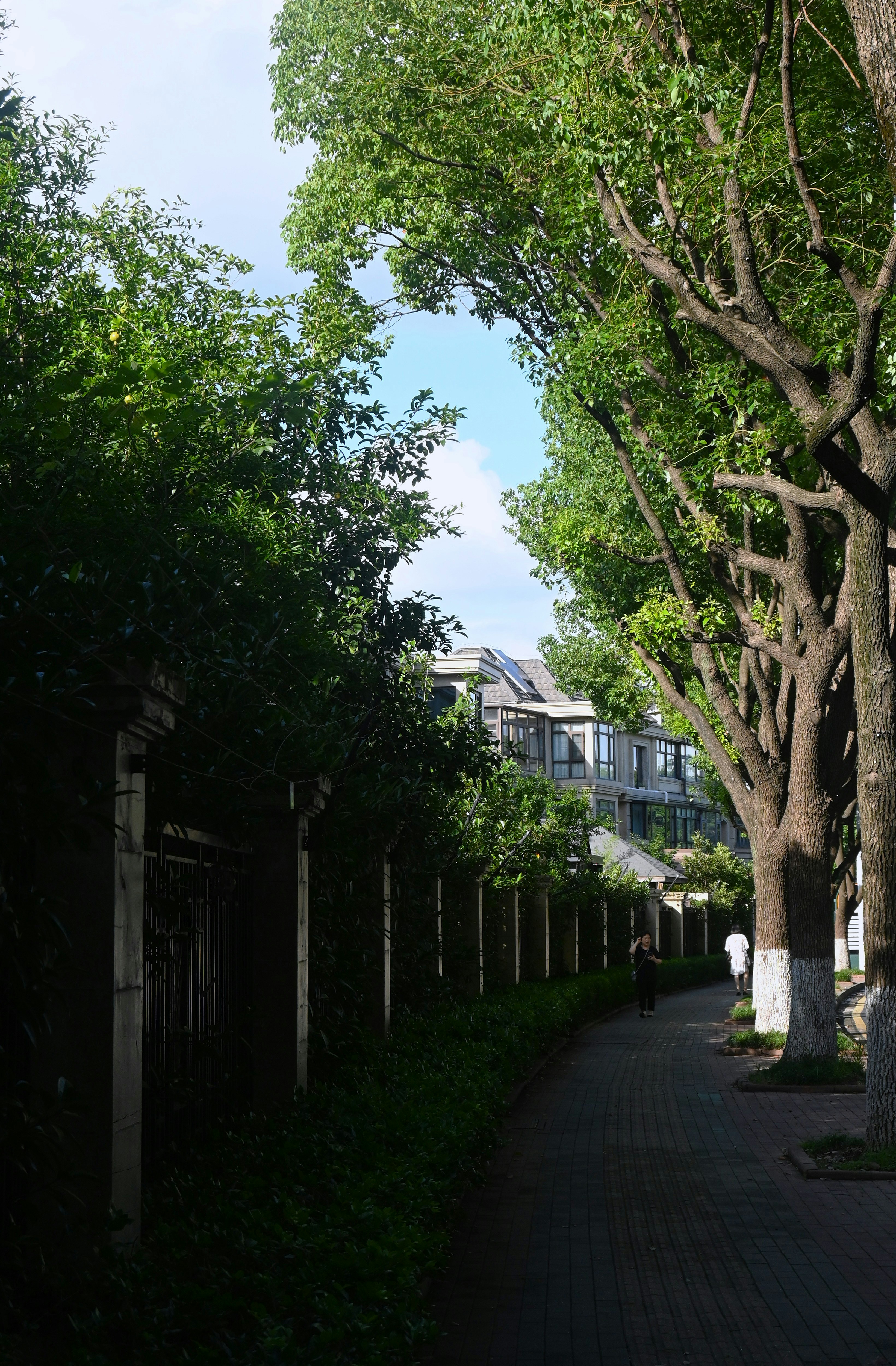 Photo by lancelot0531