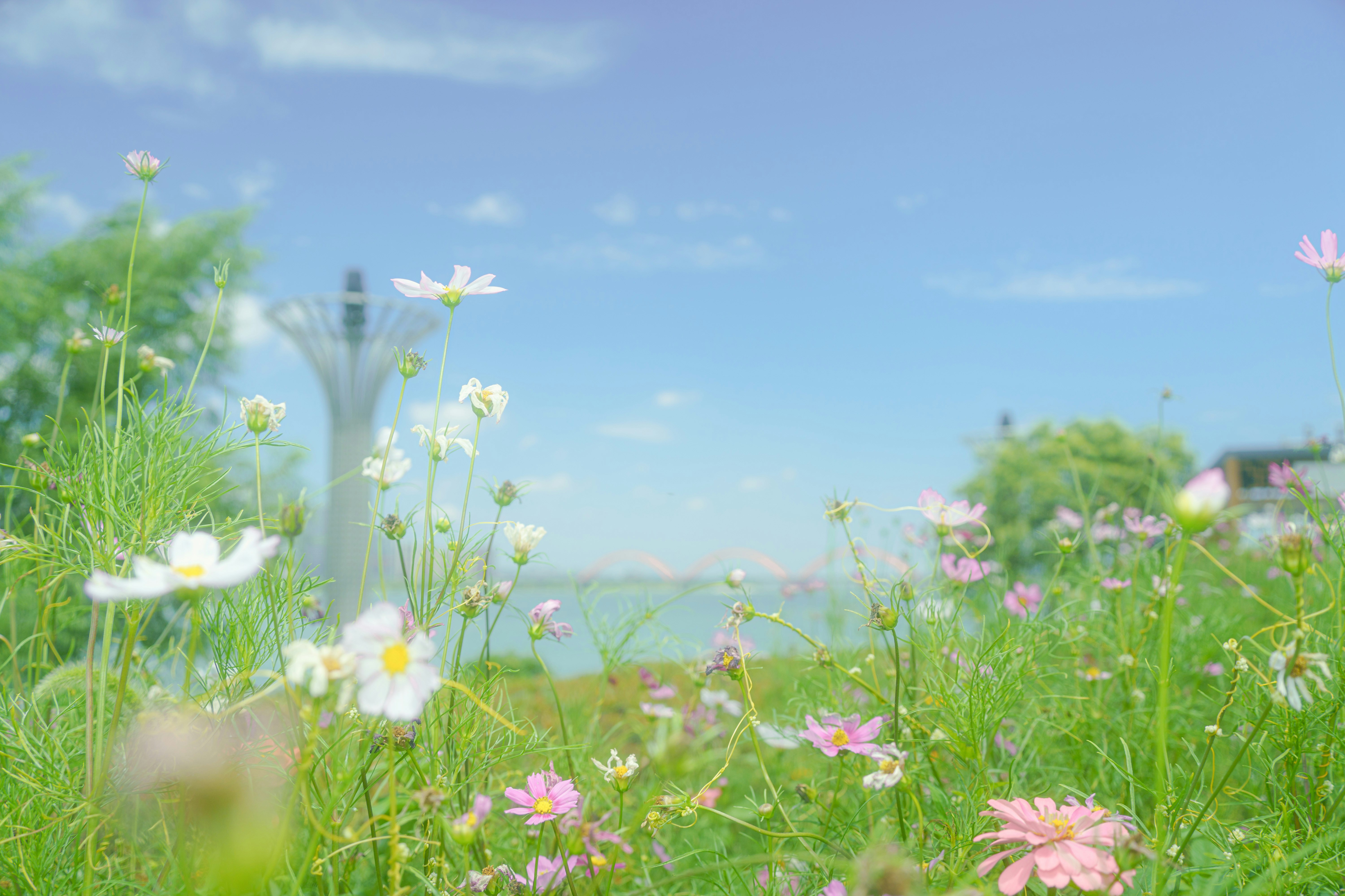 Photo by xiexianghua