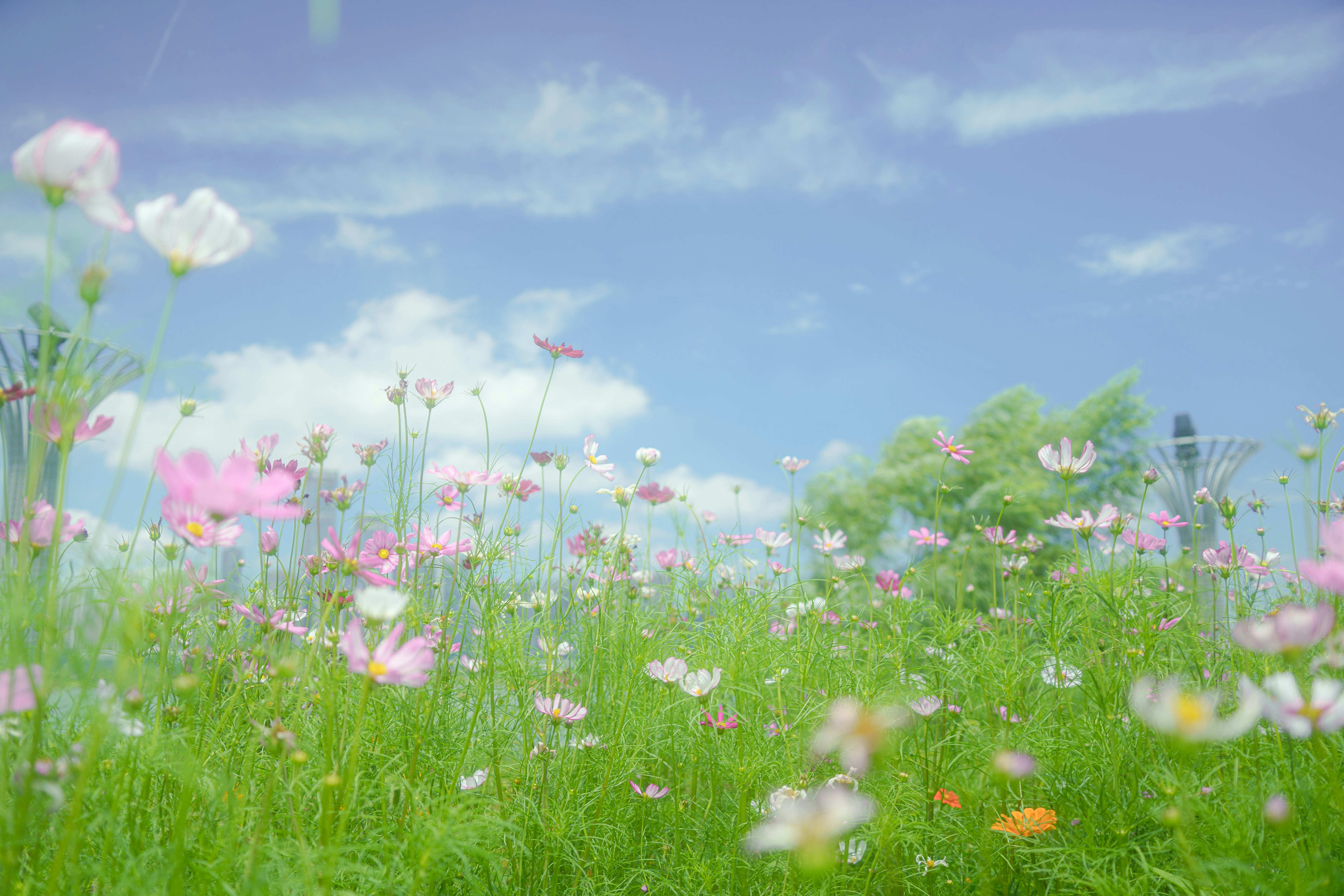 Photo by xiexianghua