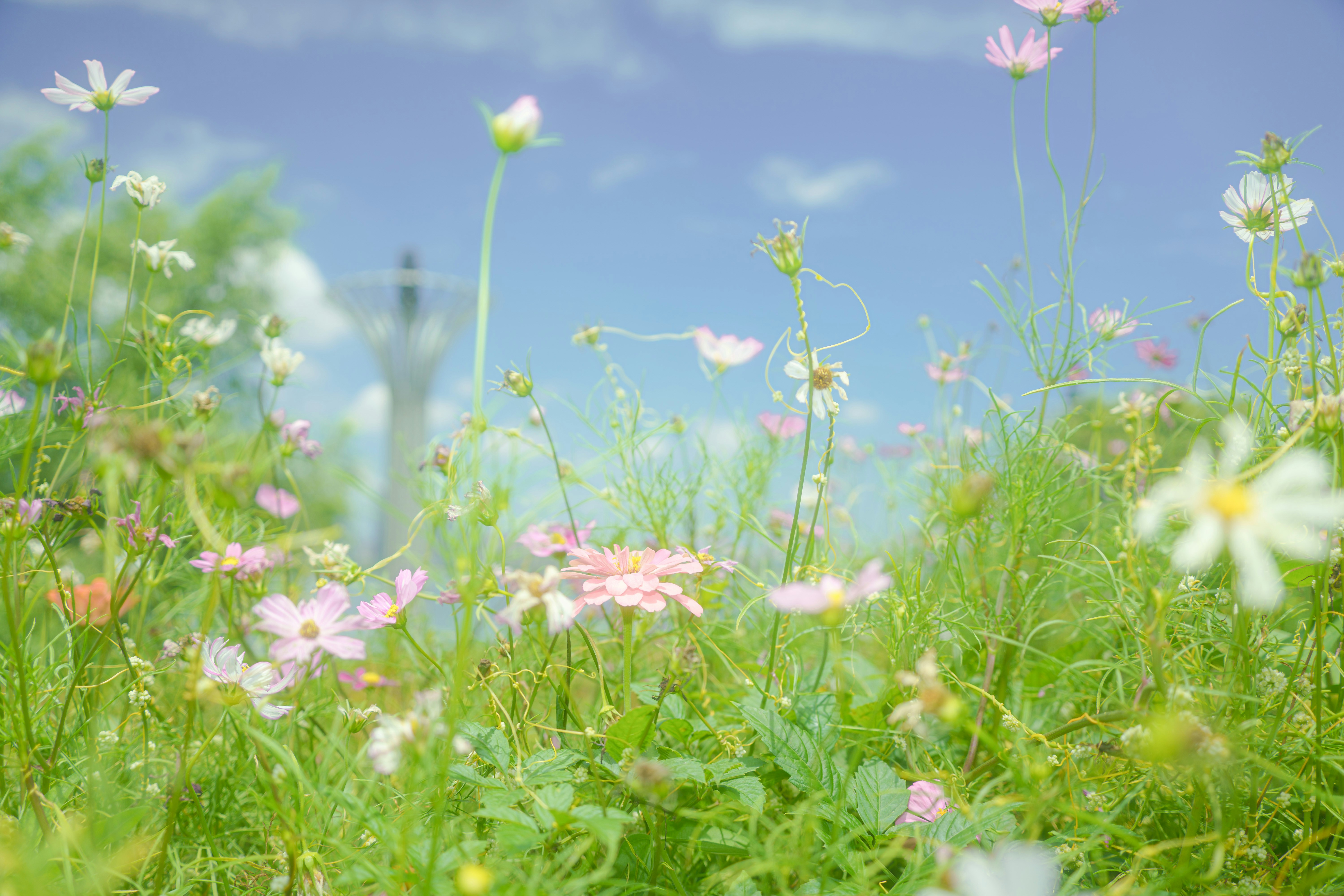 Photo by xiexianghua