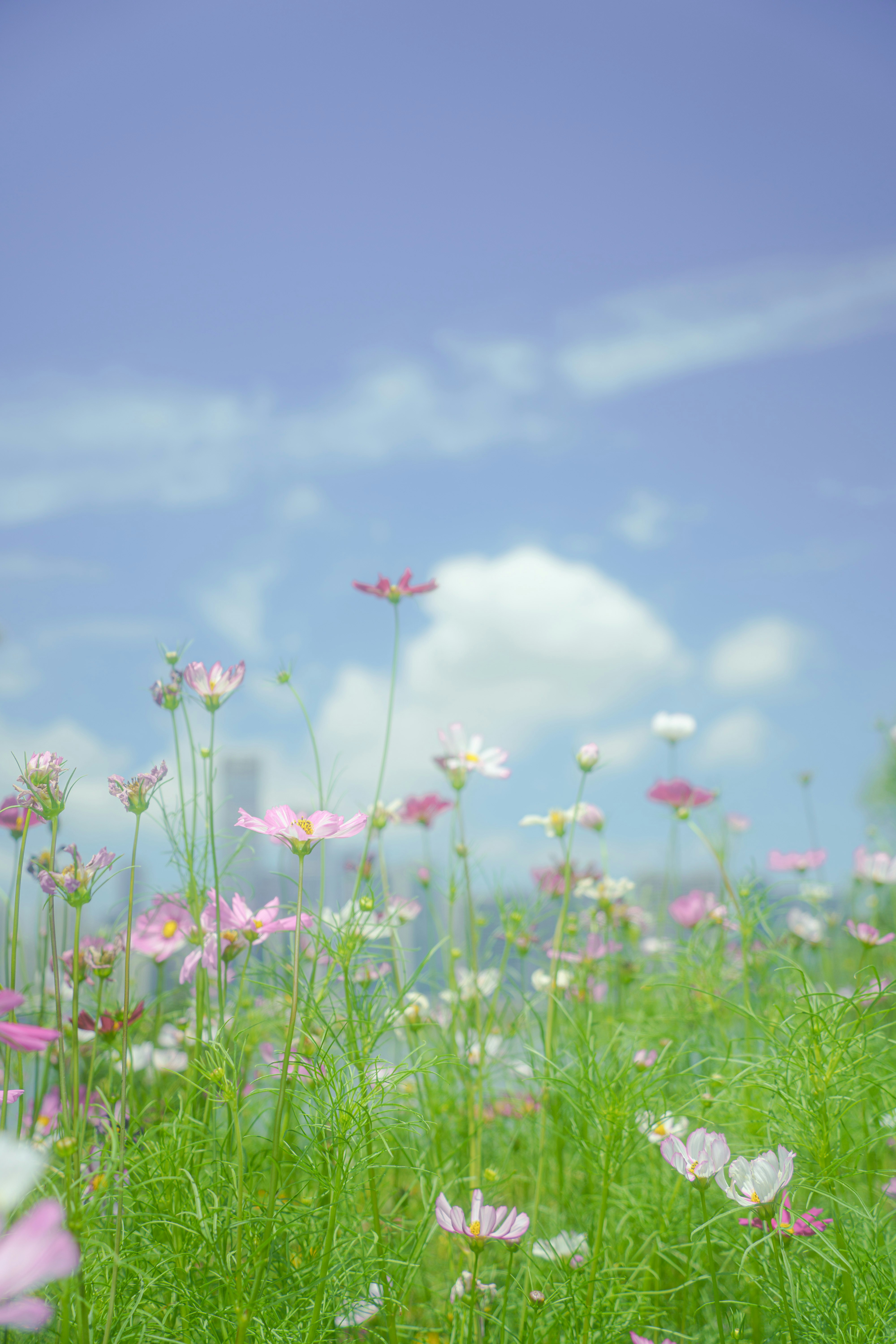 Photo by xiexianghua