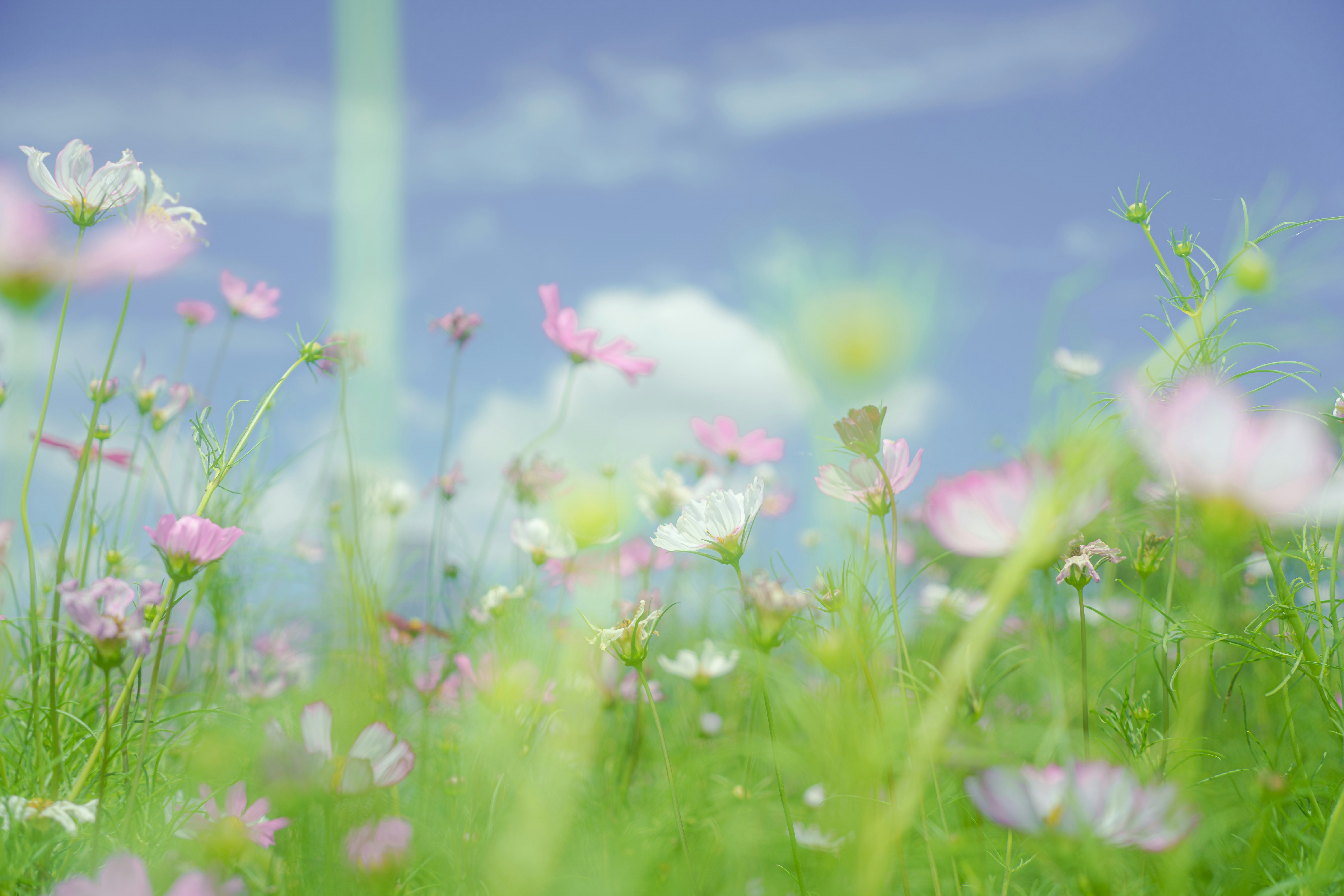 Photo by xiexianghua