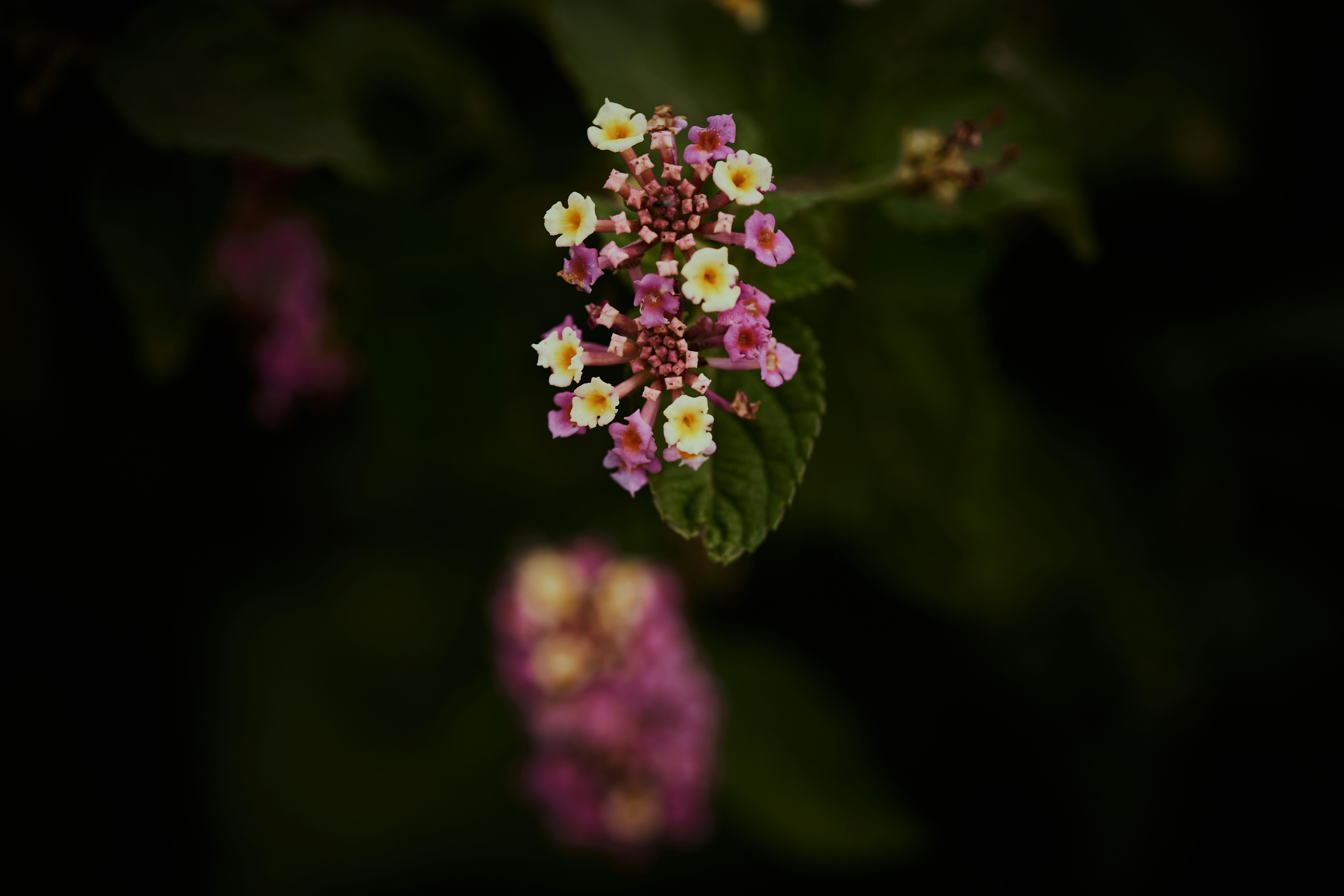 Photo by rrodriguesim