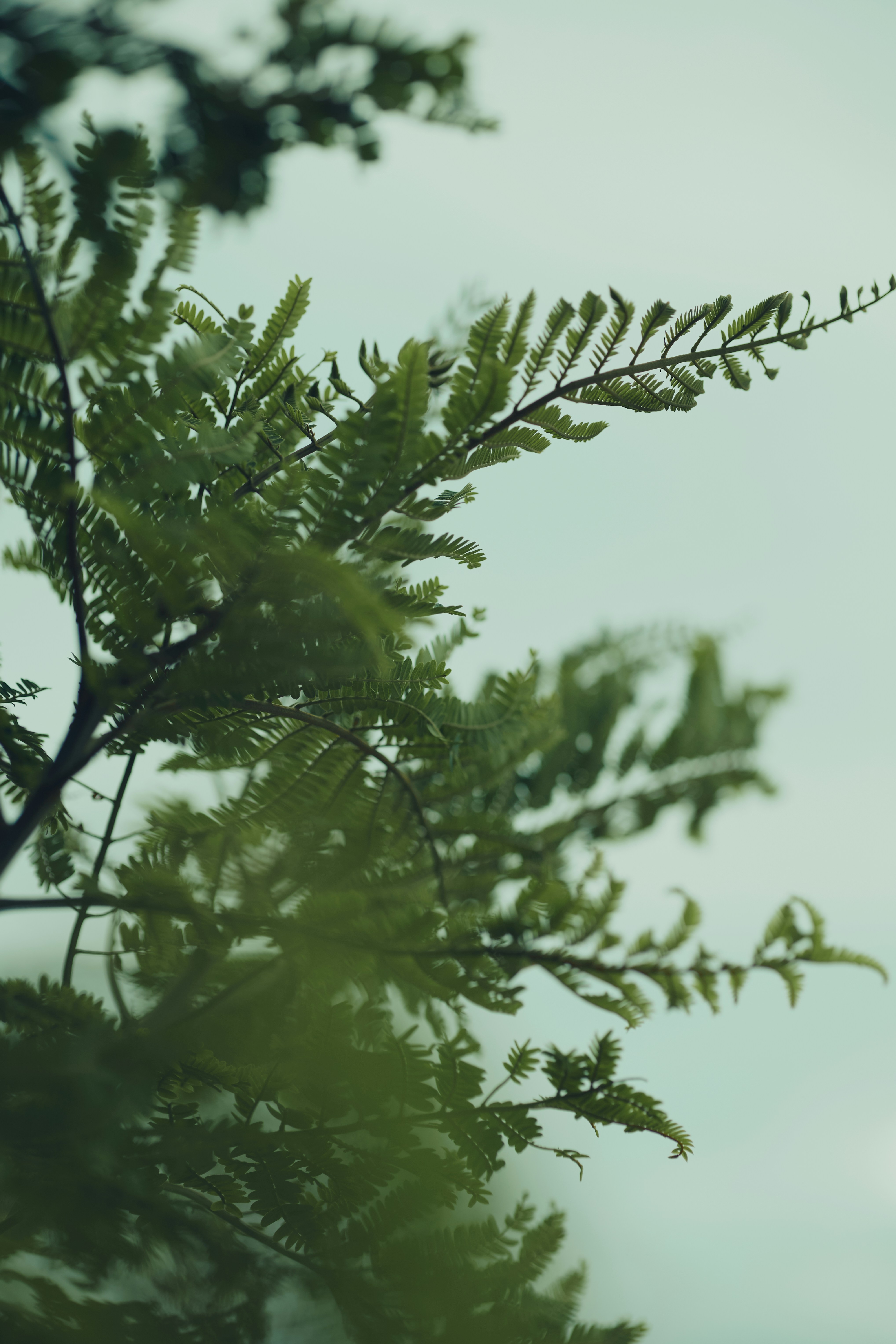 Photo by rrodriguesim