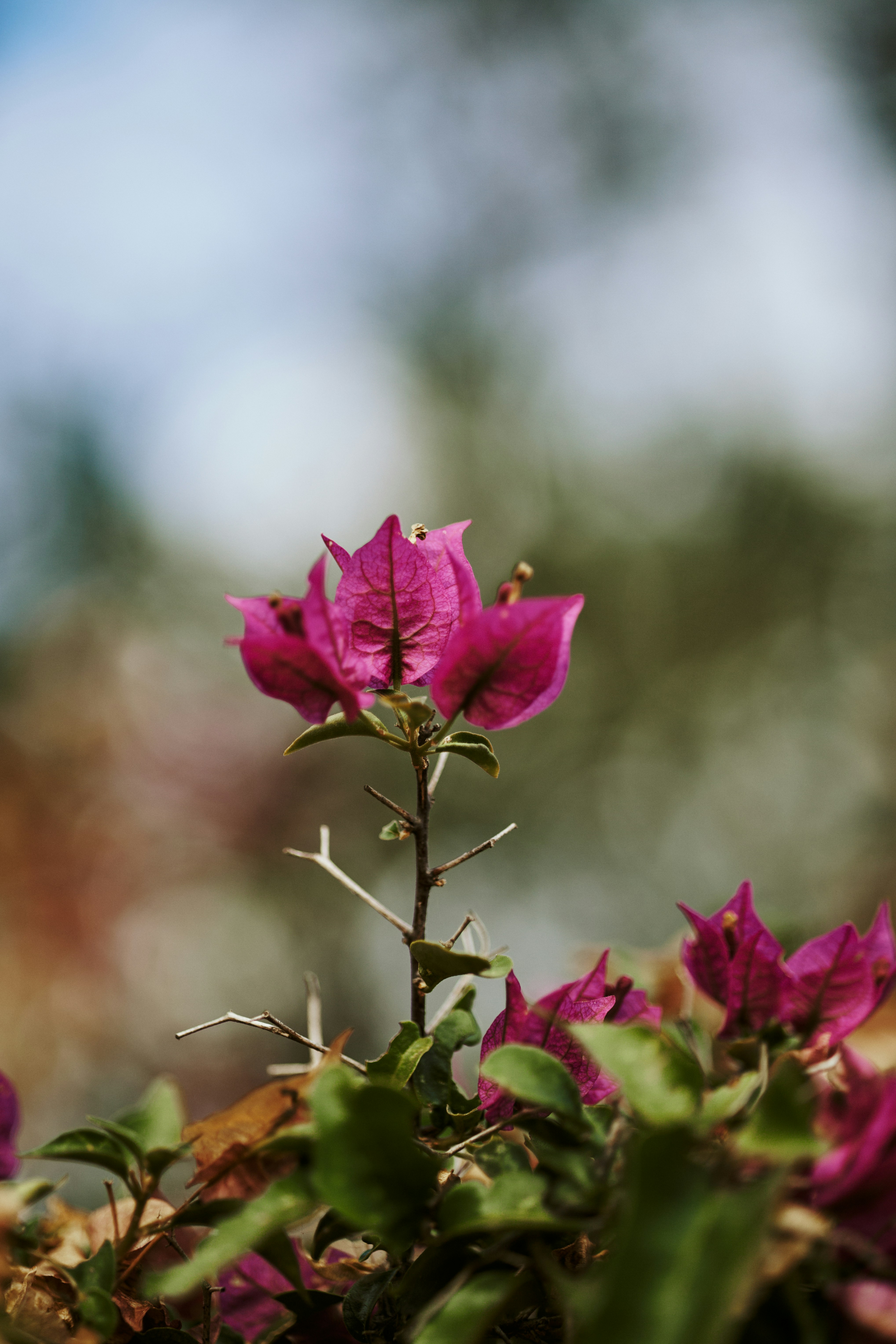 Photo by rrodriguesim