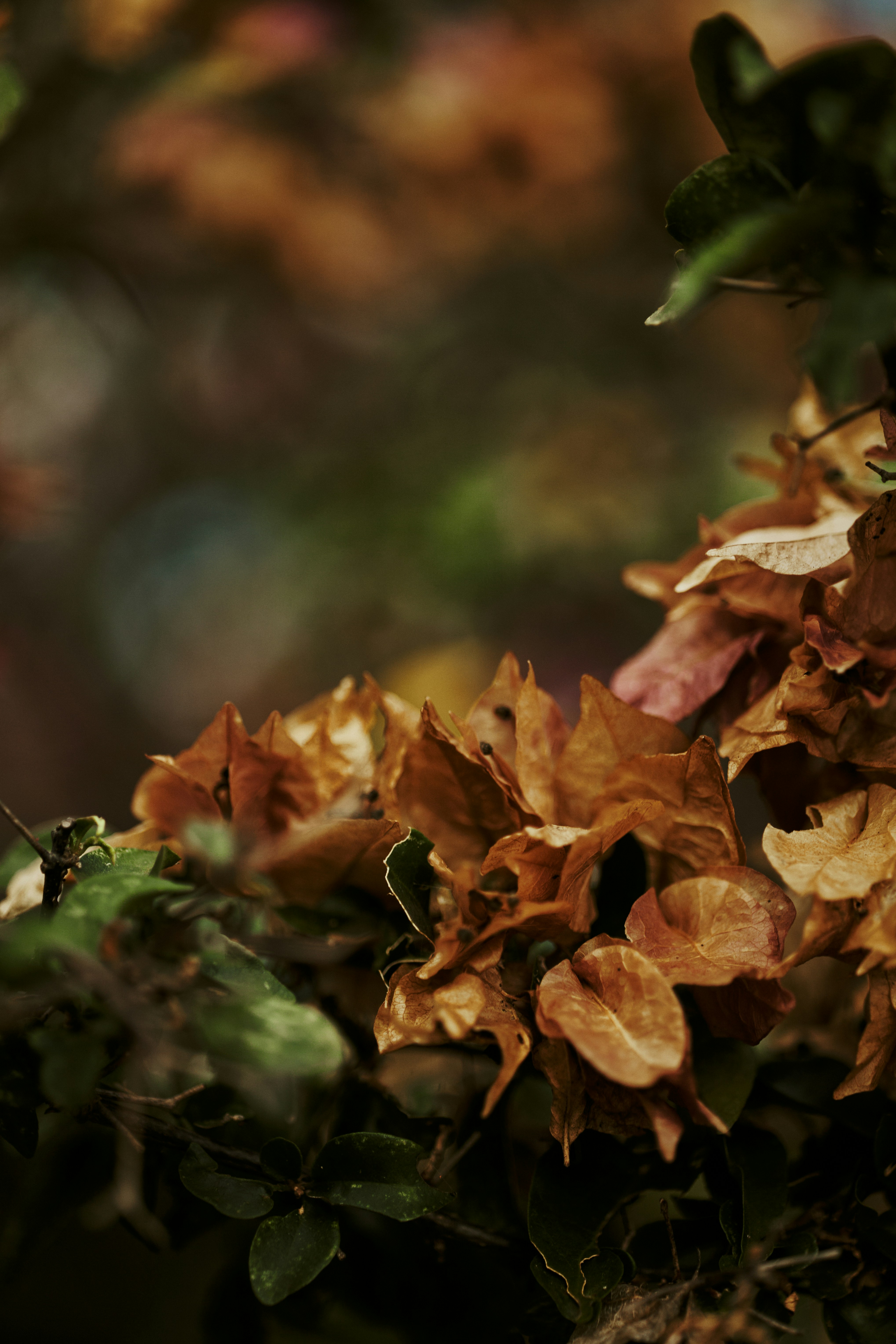 Photo by rrodriguesim