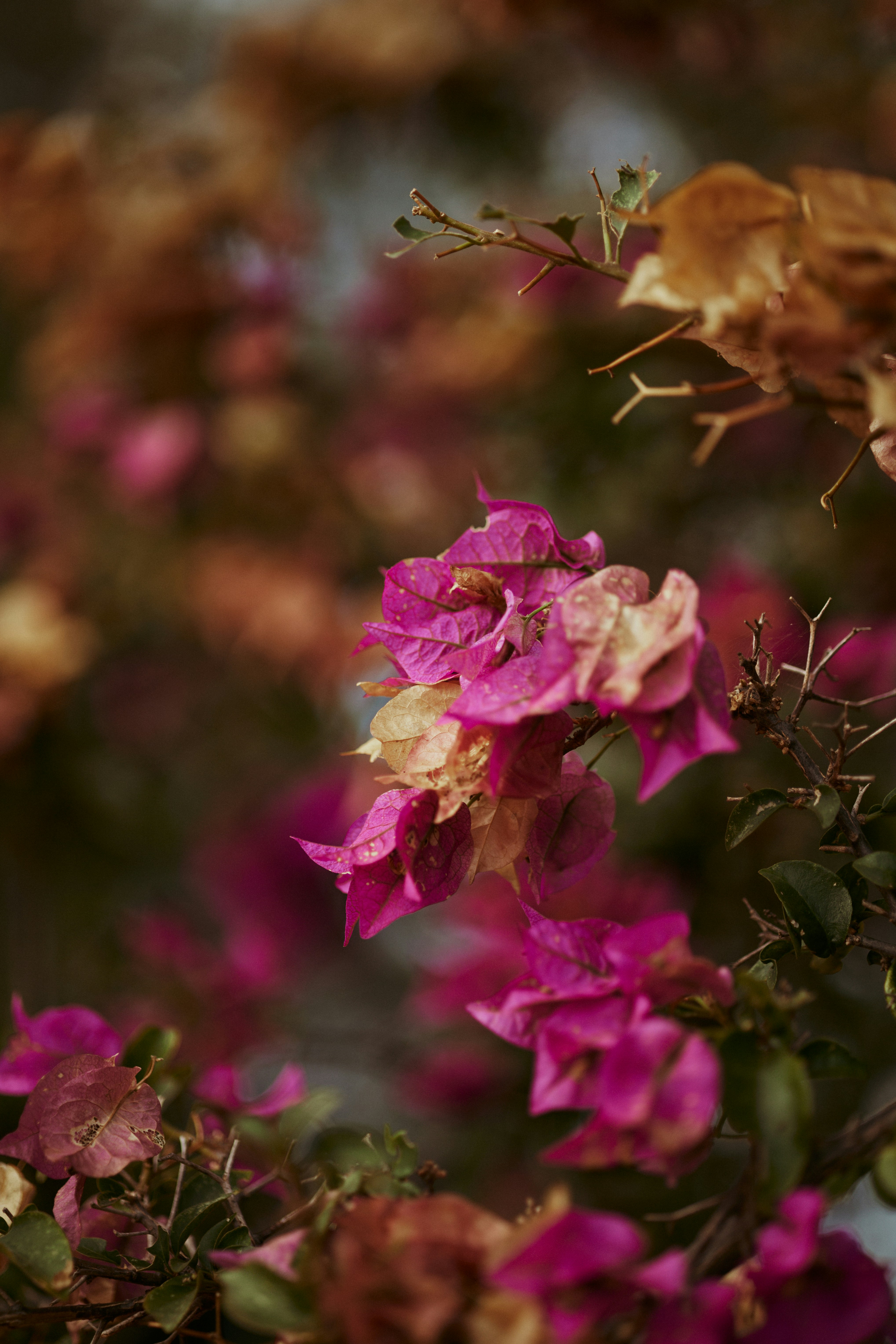 Photo by rrodriguesim