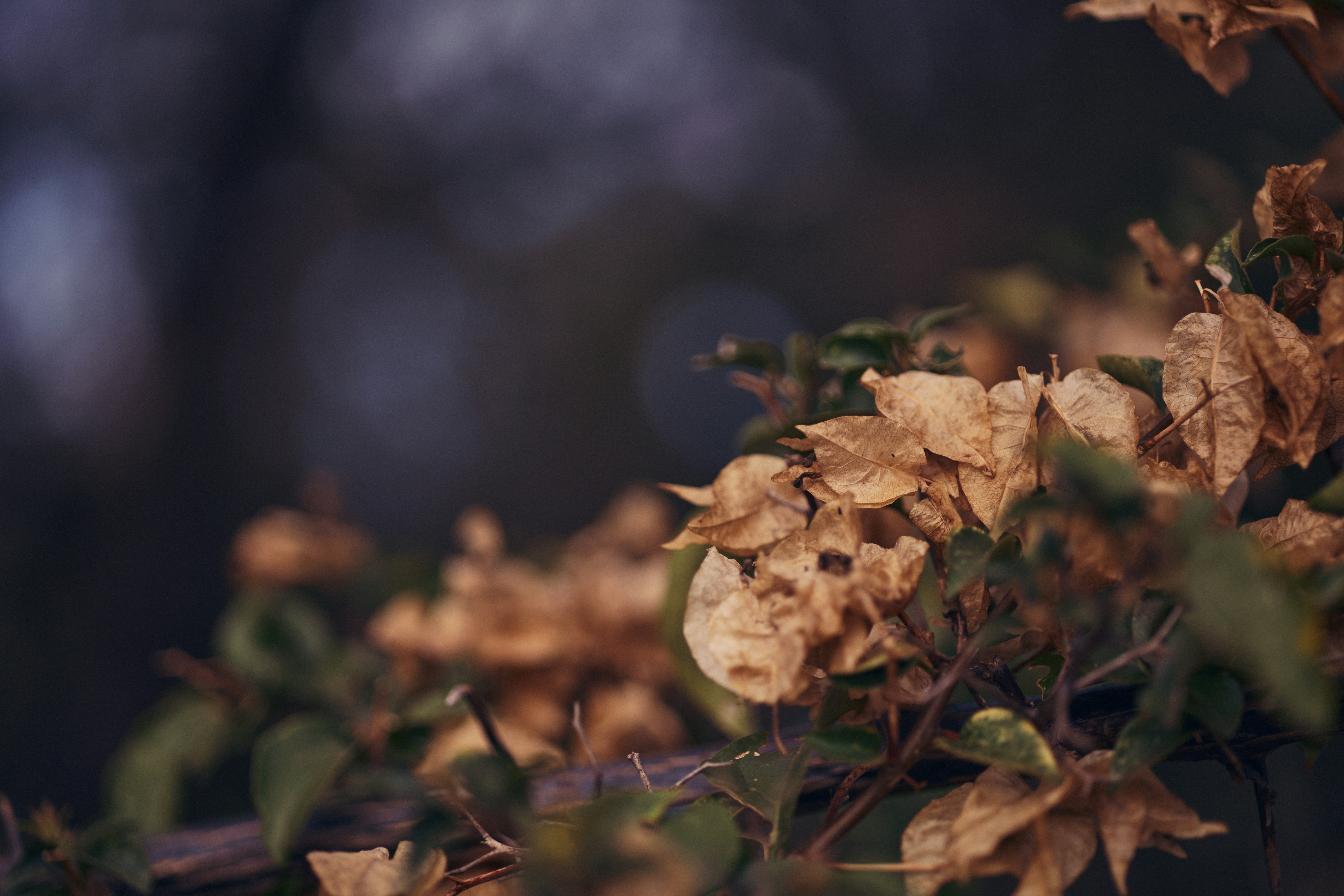 Photo by rrodriguesim