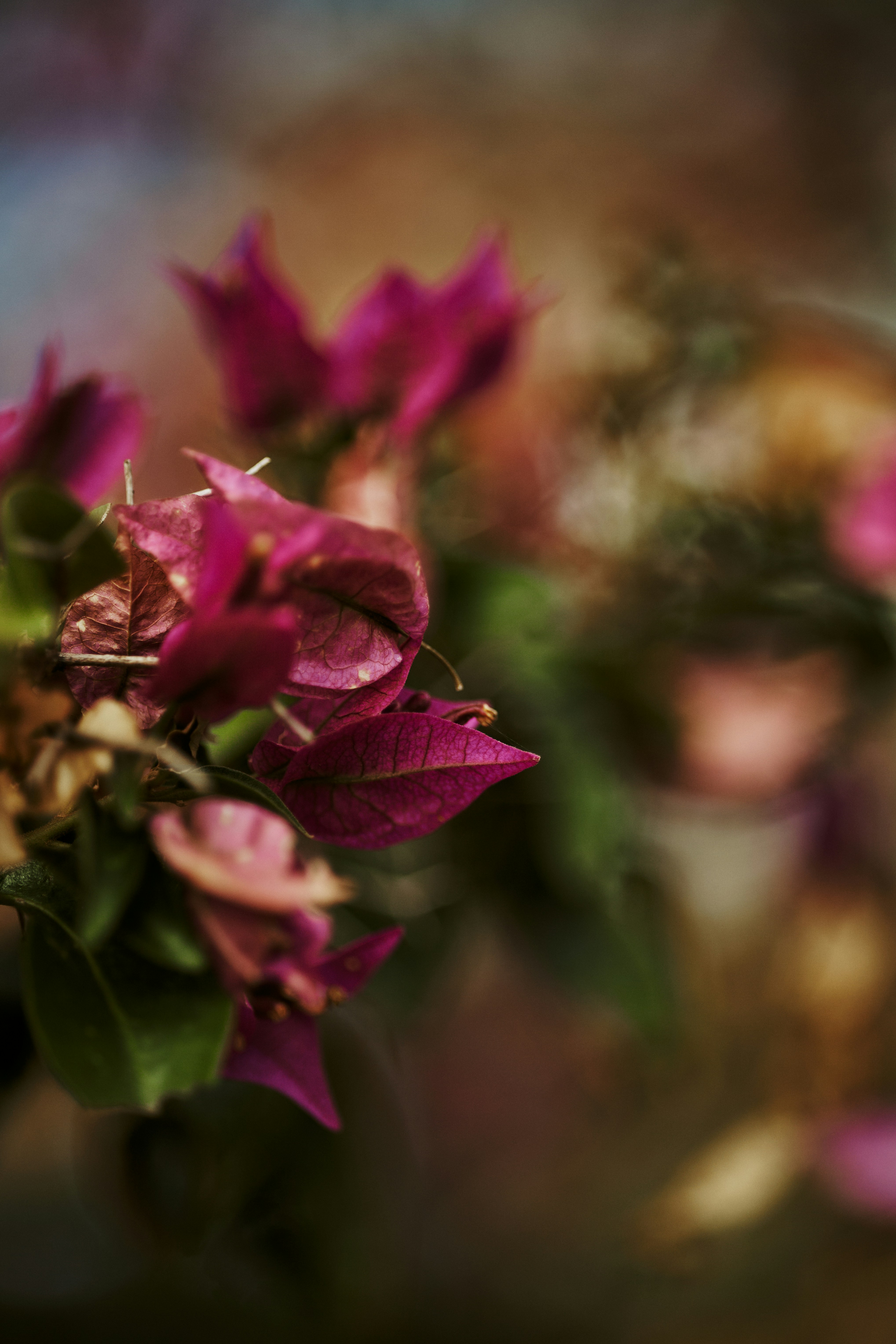 Photo by rrodriguesim