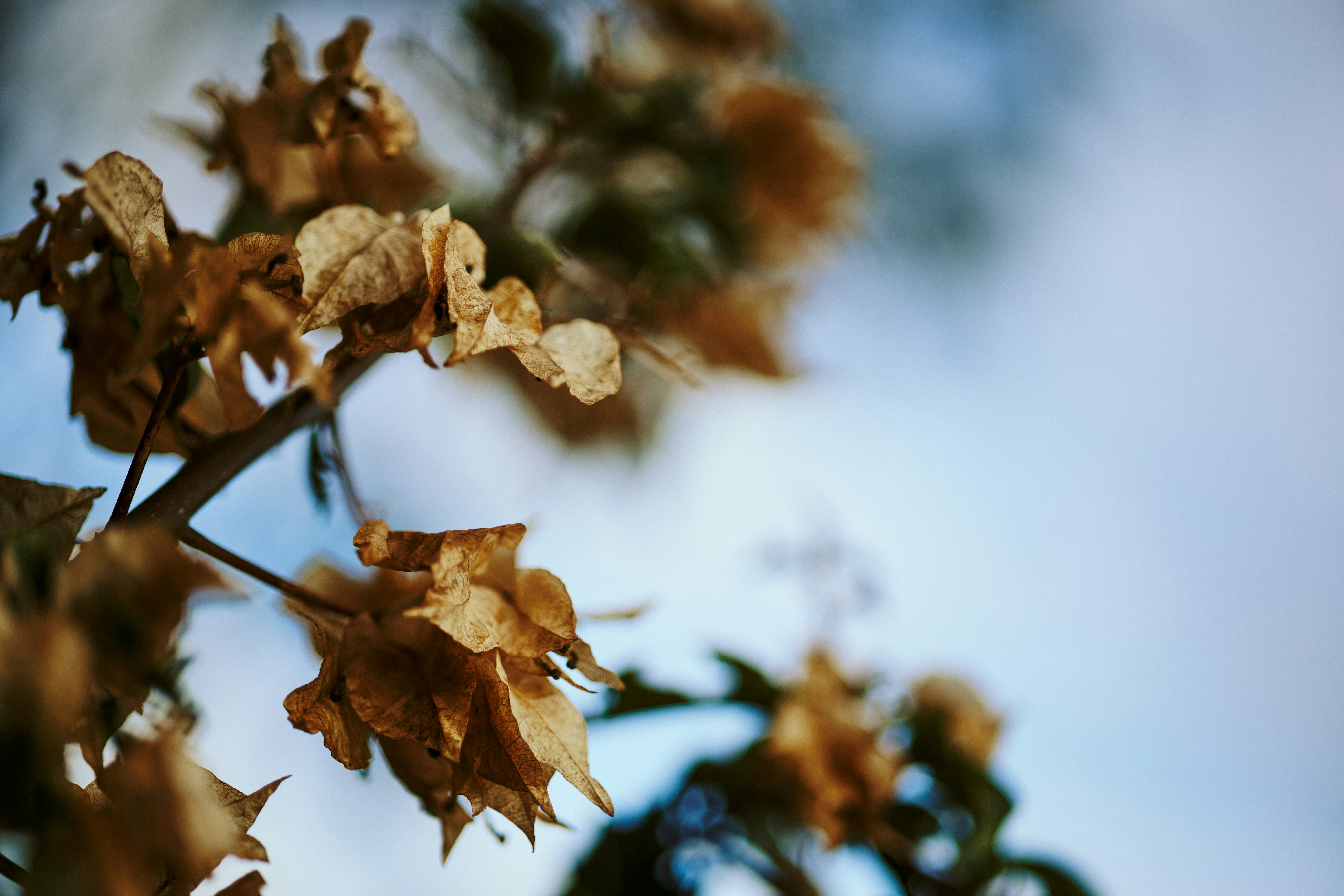 Photo by rrodriguesim