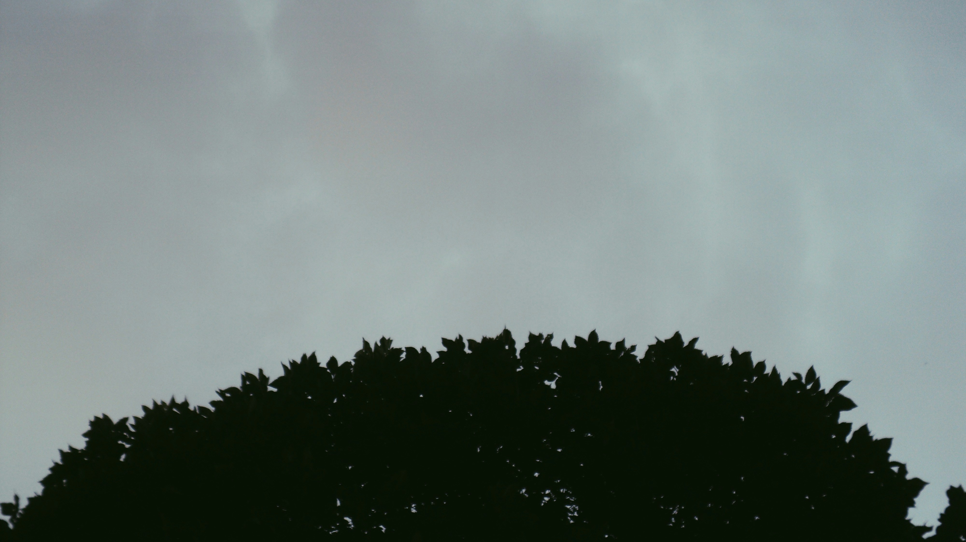 Photo by mdrezajalali