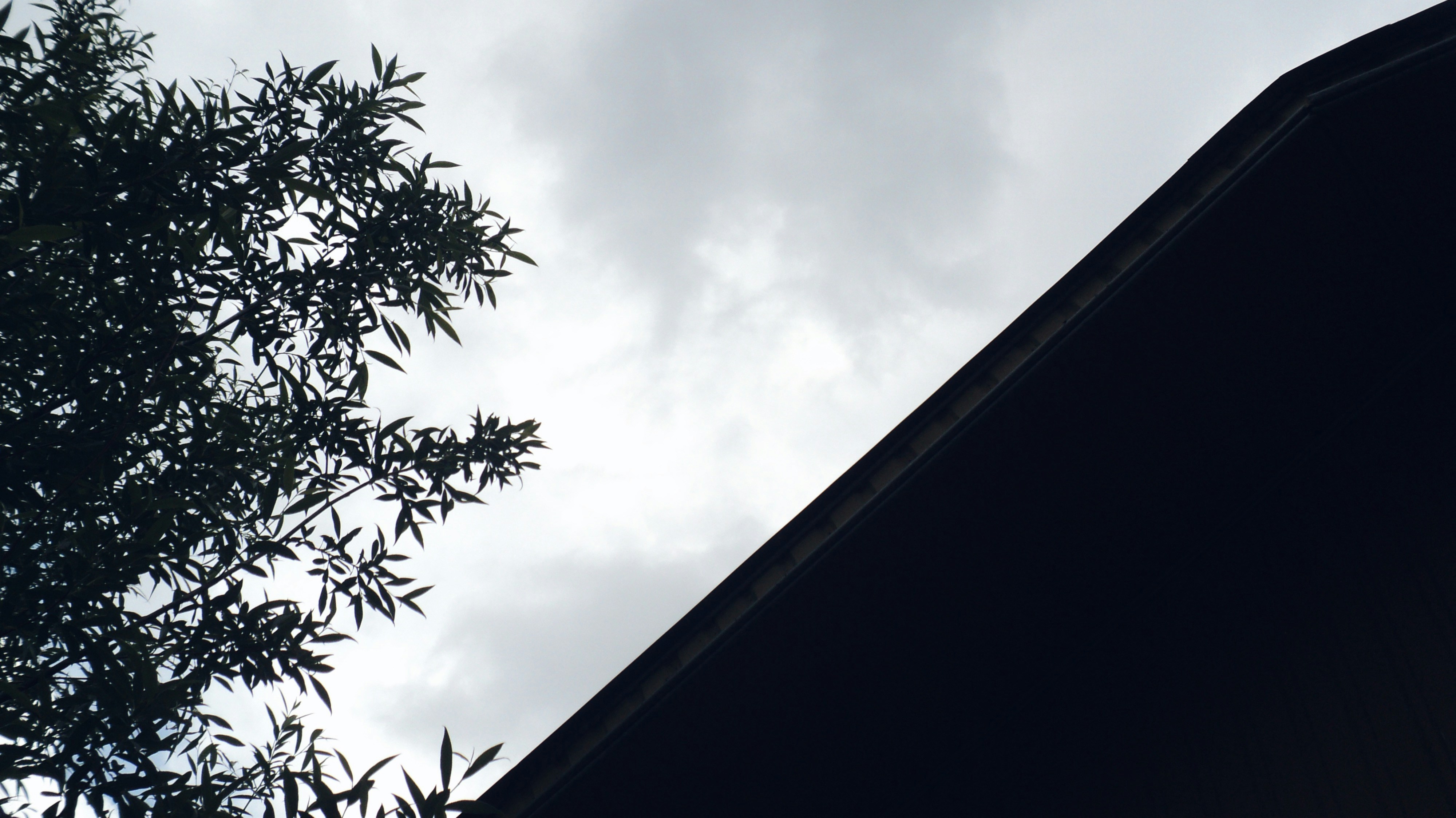 Photo by mdrezajalali