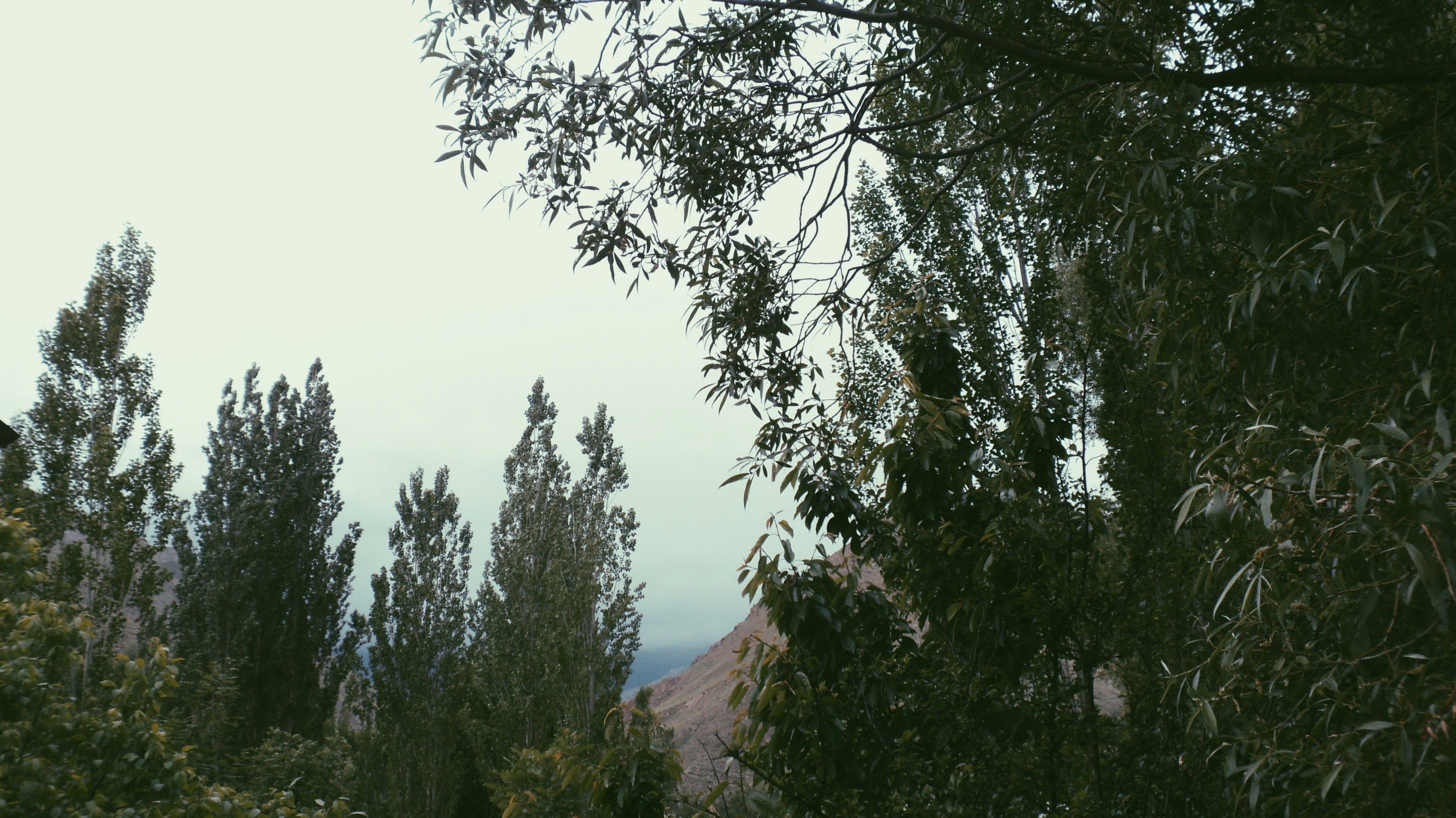 photo-1749976907752-b92b1e01d381?ixid=M3wxMjA3fDB8MXxzZWFyY2h8MjB8fCVFQiVCOSU4NCVFQyU5NSU4NCVFQSVCNyVCOCVFQiU5RCVCQyUyMCVFRCU4QyU4QyVFQiU4QSU5NCVFQSVCMyVCM3xlbnwwfHx8fDE3NTAzNDE1OTN8MA\u0026ixlib=rb-4.1.0