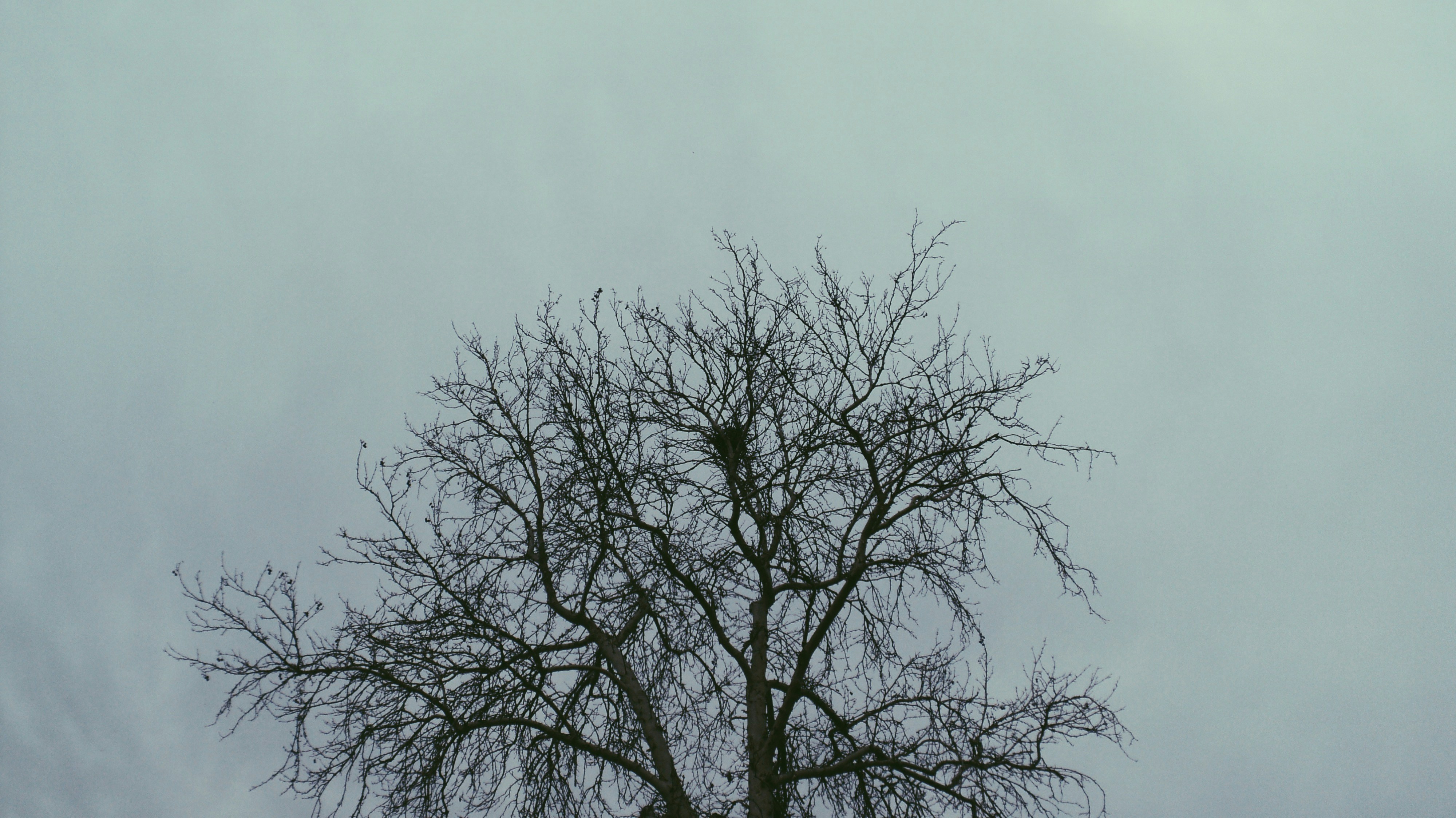 Photo by mdrezajalali