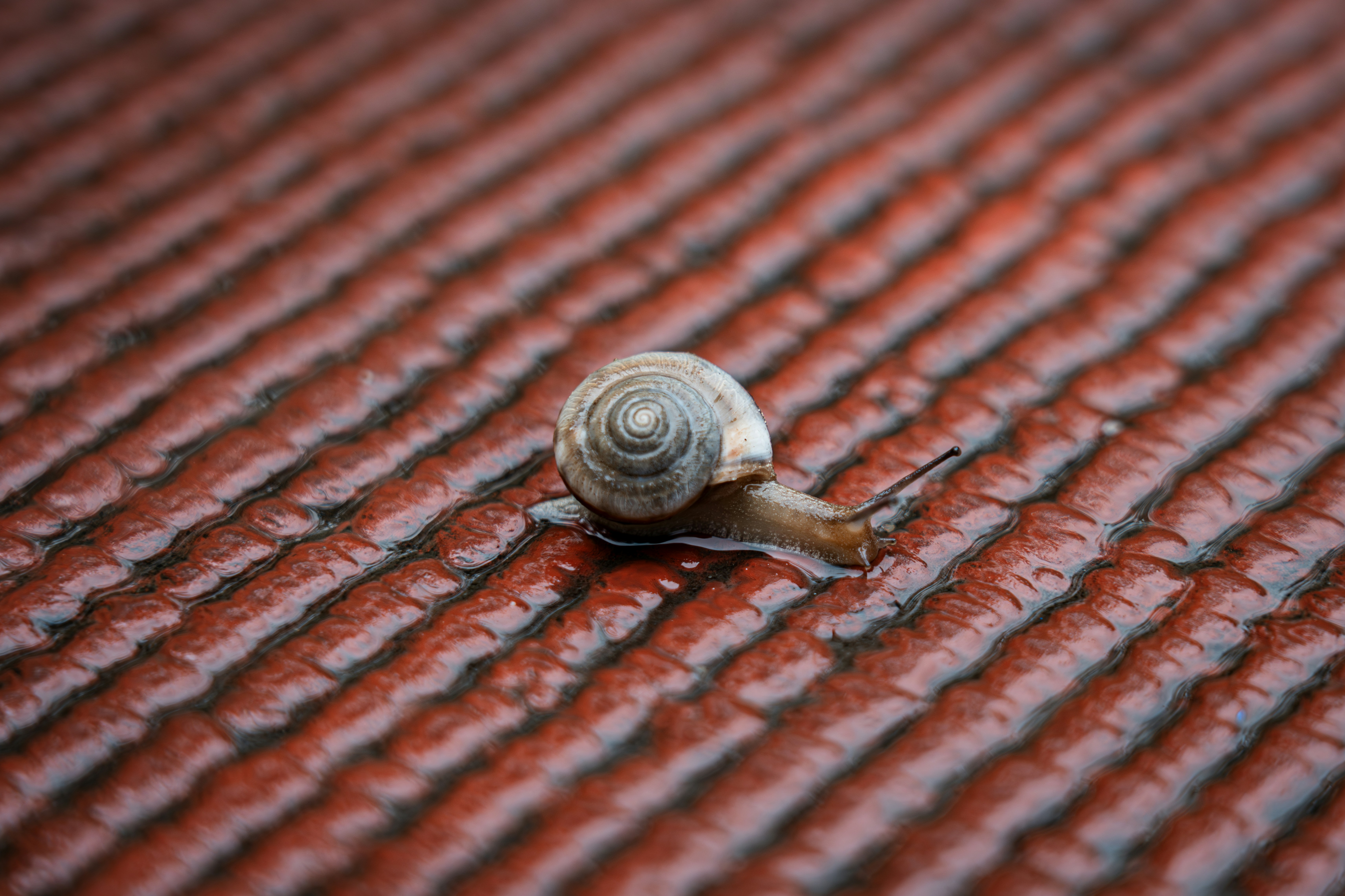 Photo by douglasalan