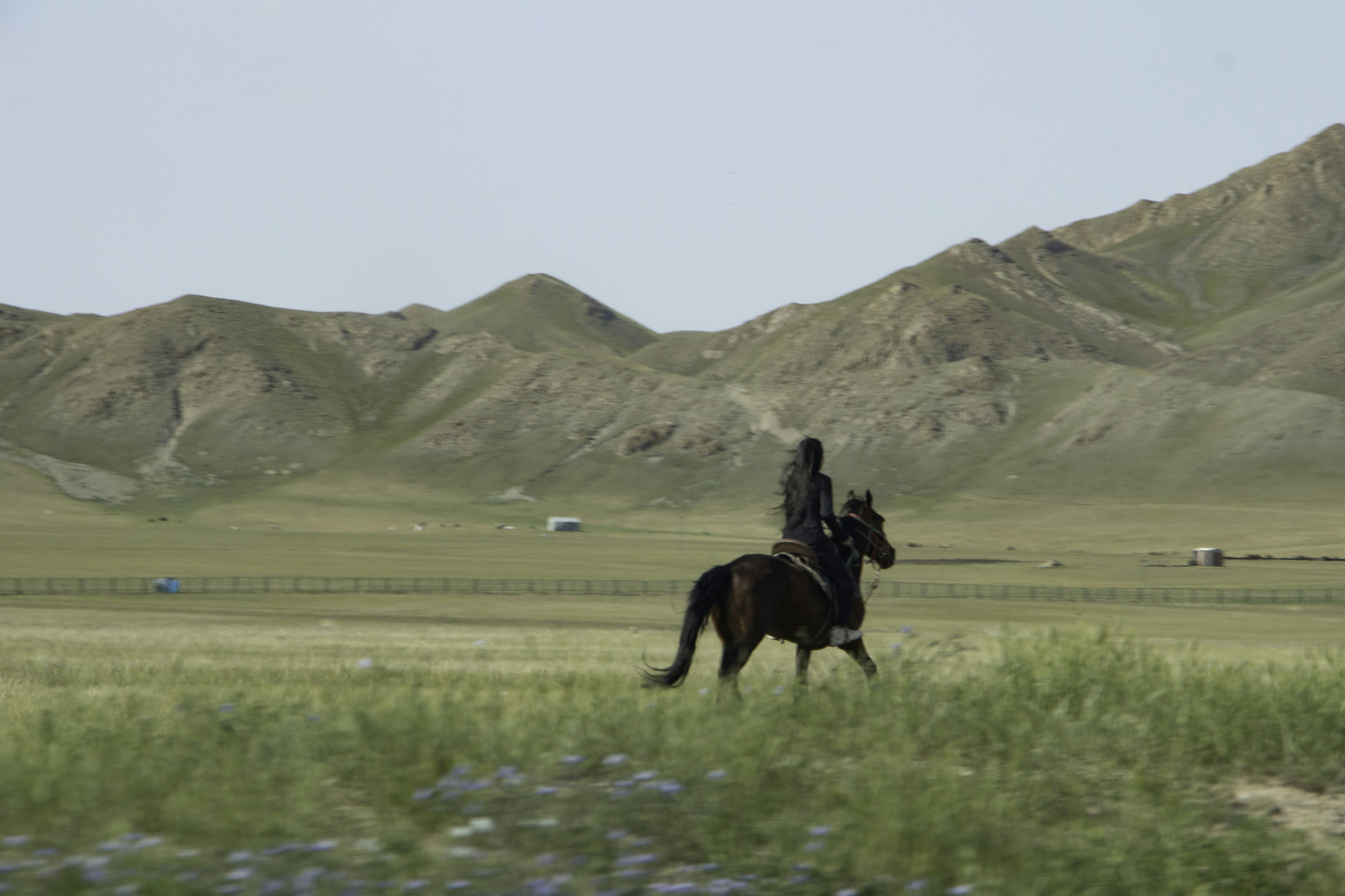 Photo by maro_of_sengu