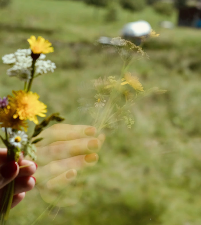Bouquet sauvage asymétrique de fleurs champêtres et herbes folles