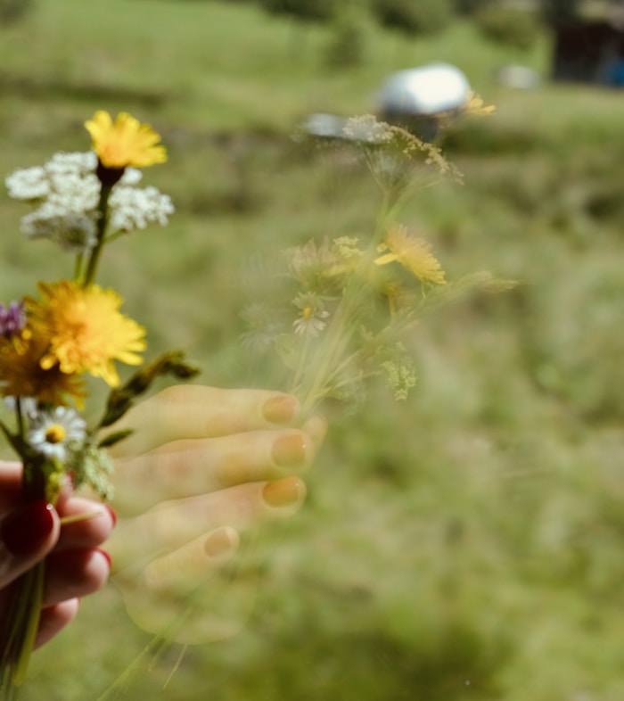 Bouquet sauvage asymétrique de fleurs champêtres et herbes folles