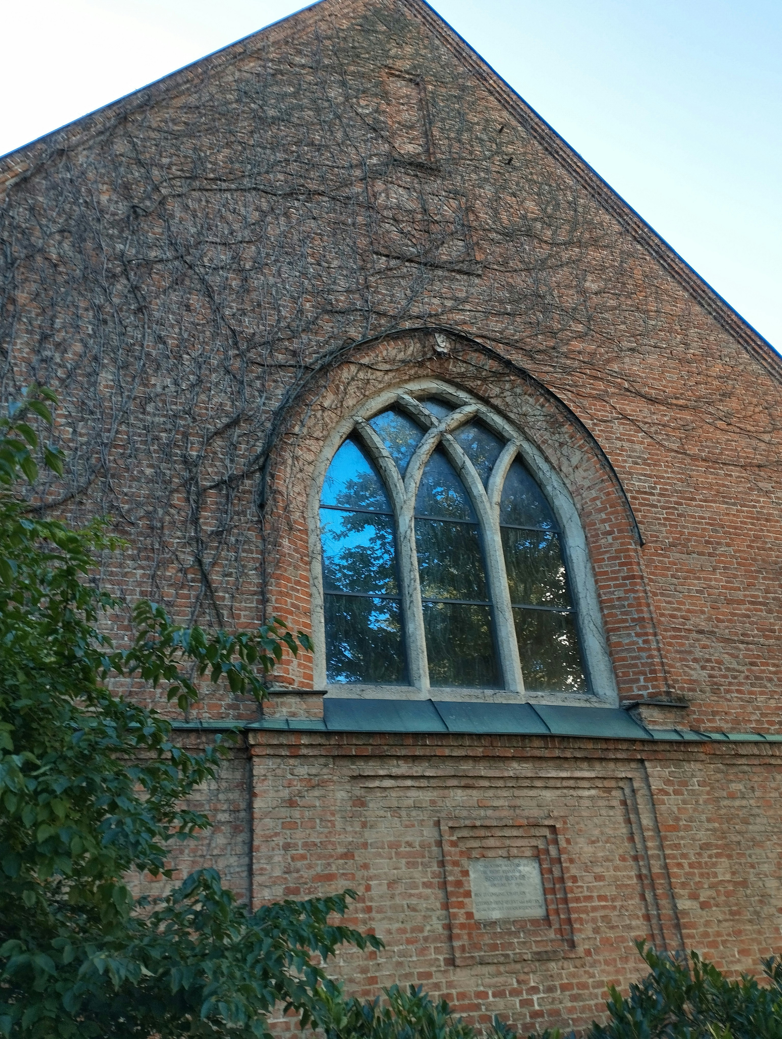 Photo by mahdikhashan1