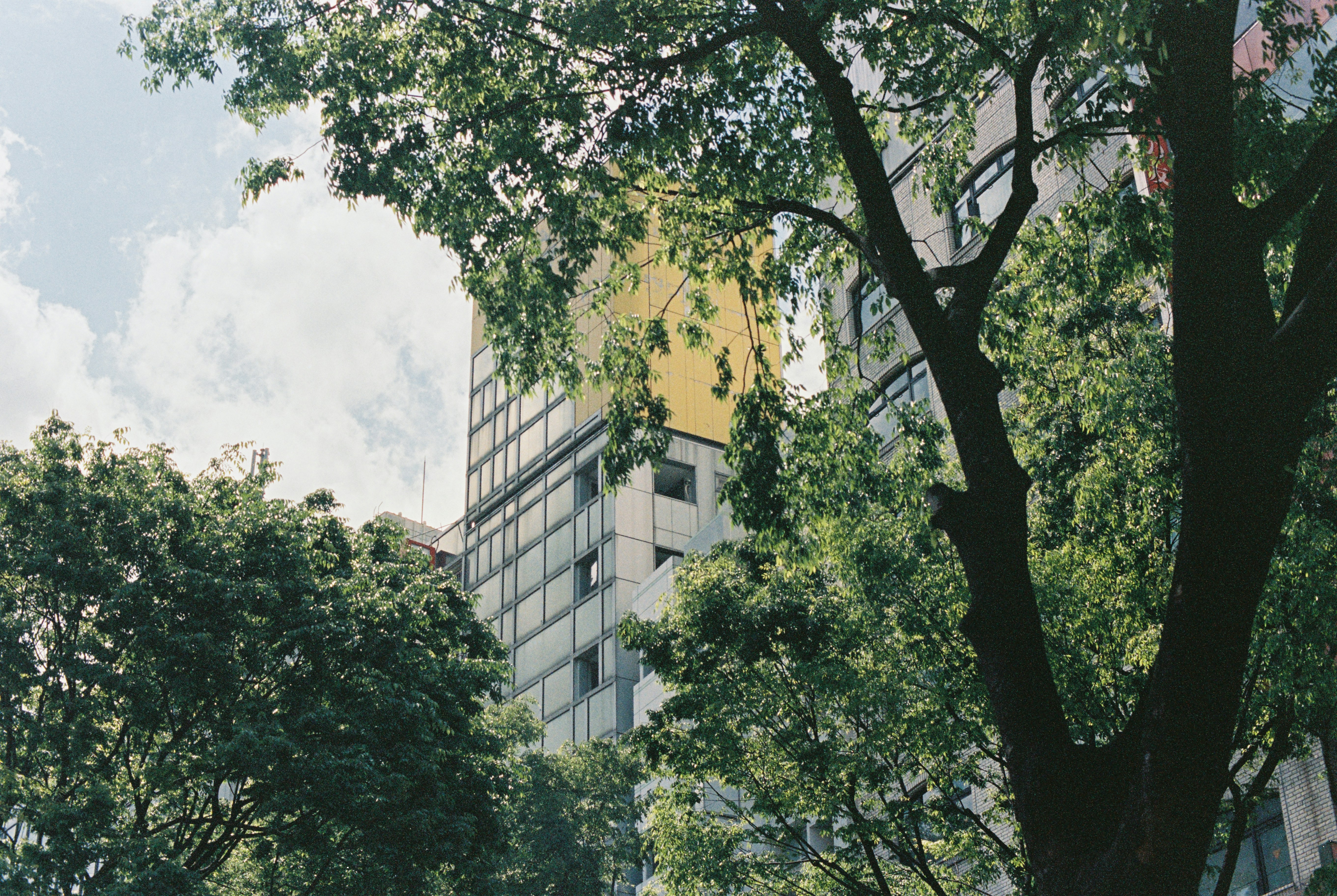 Photo by catchafilm