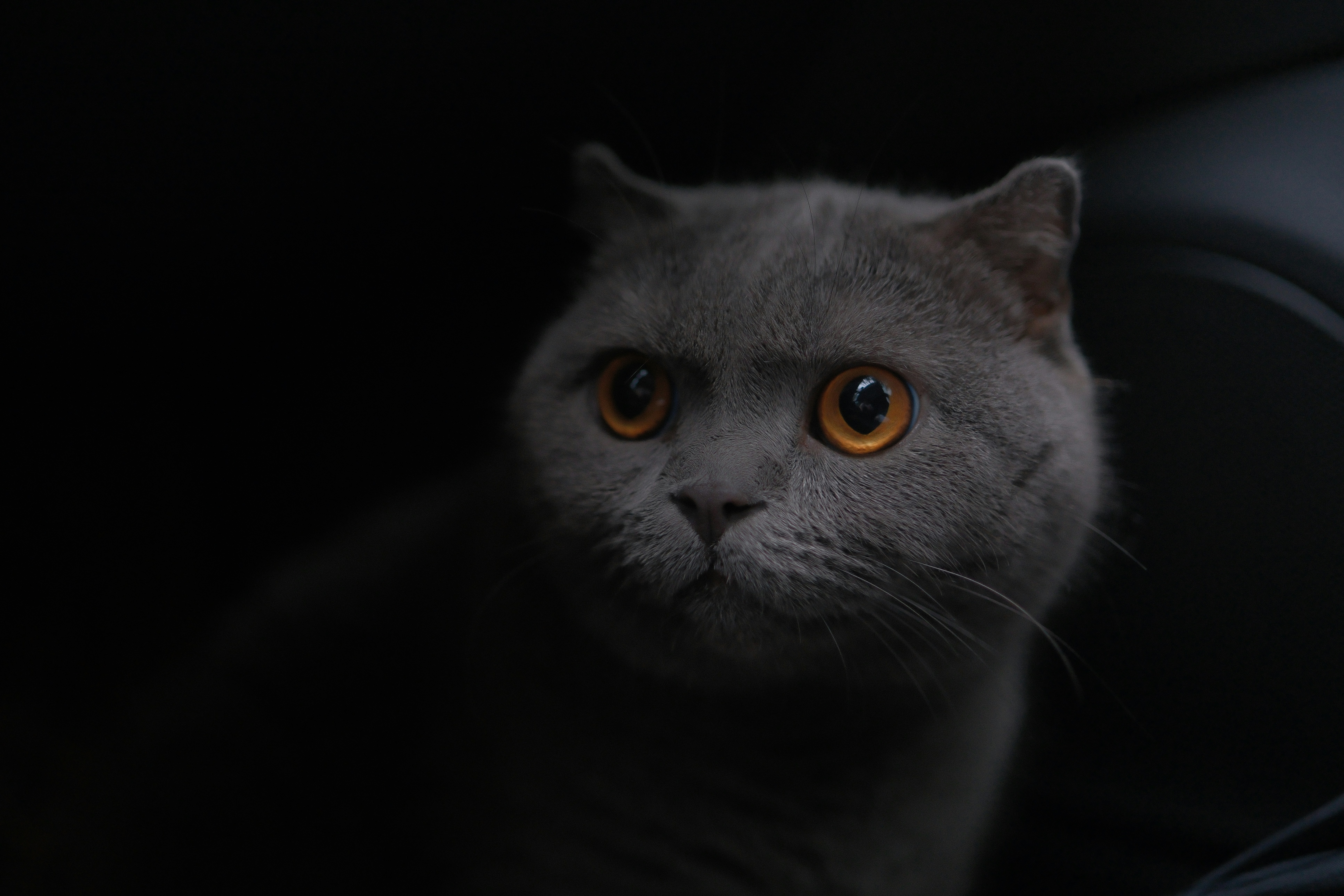 Photo by leo_gilgamesh