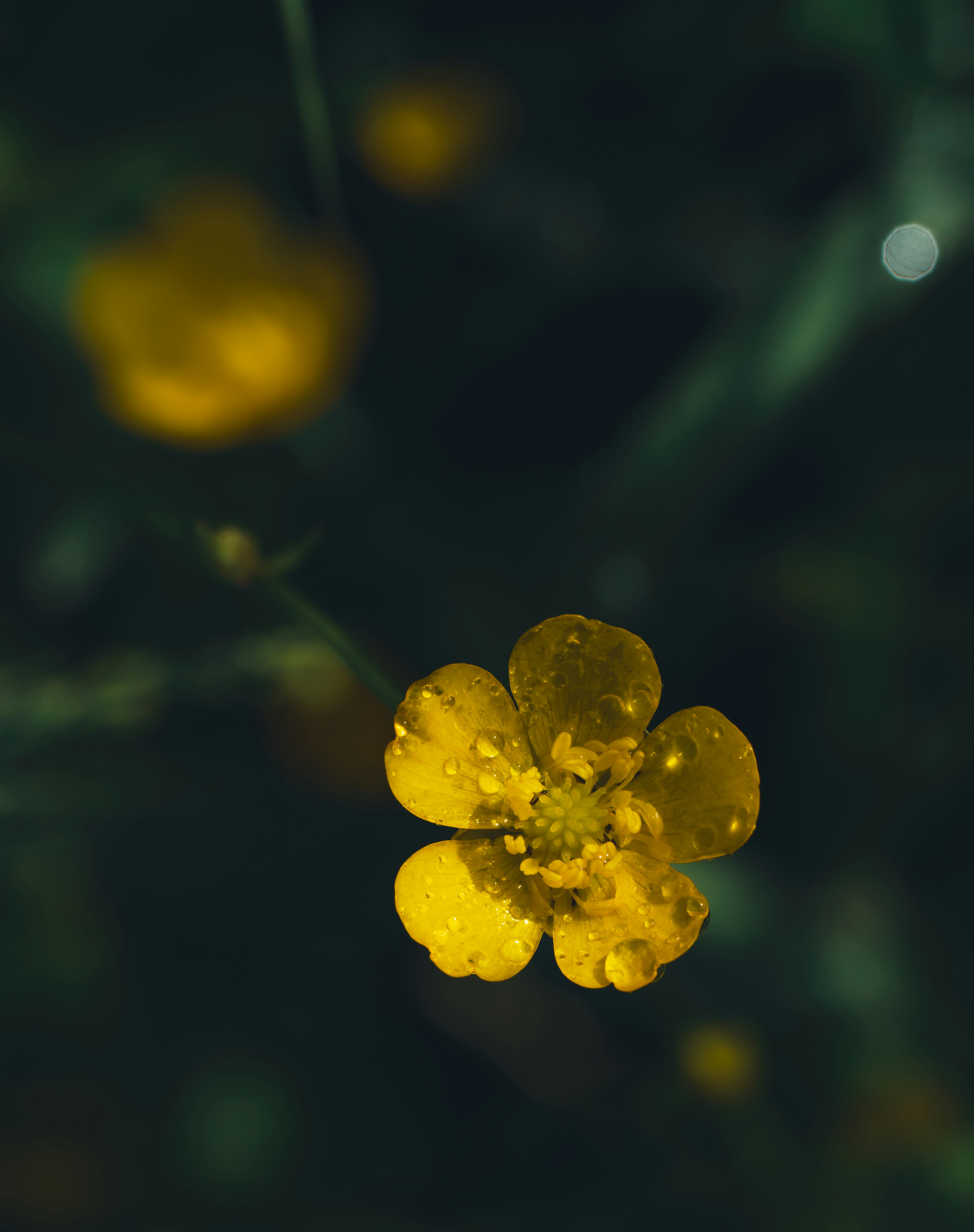 Photo by hellaren