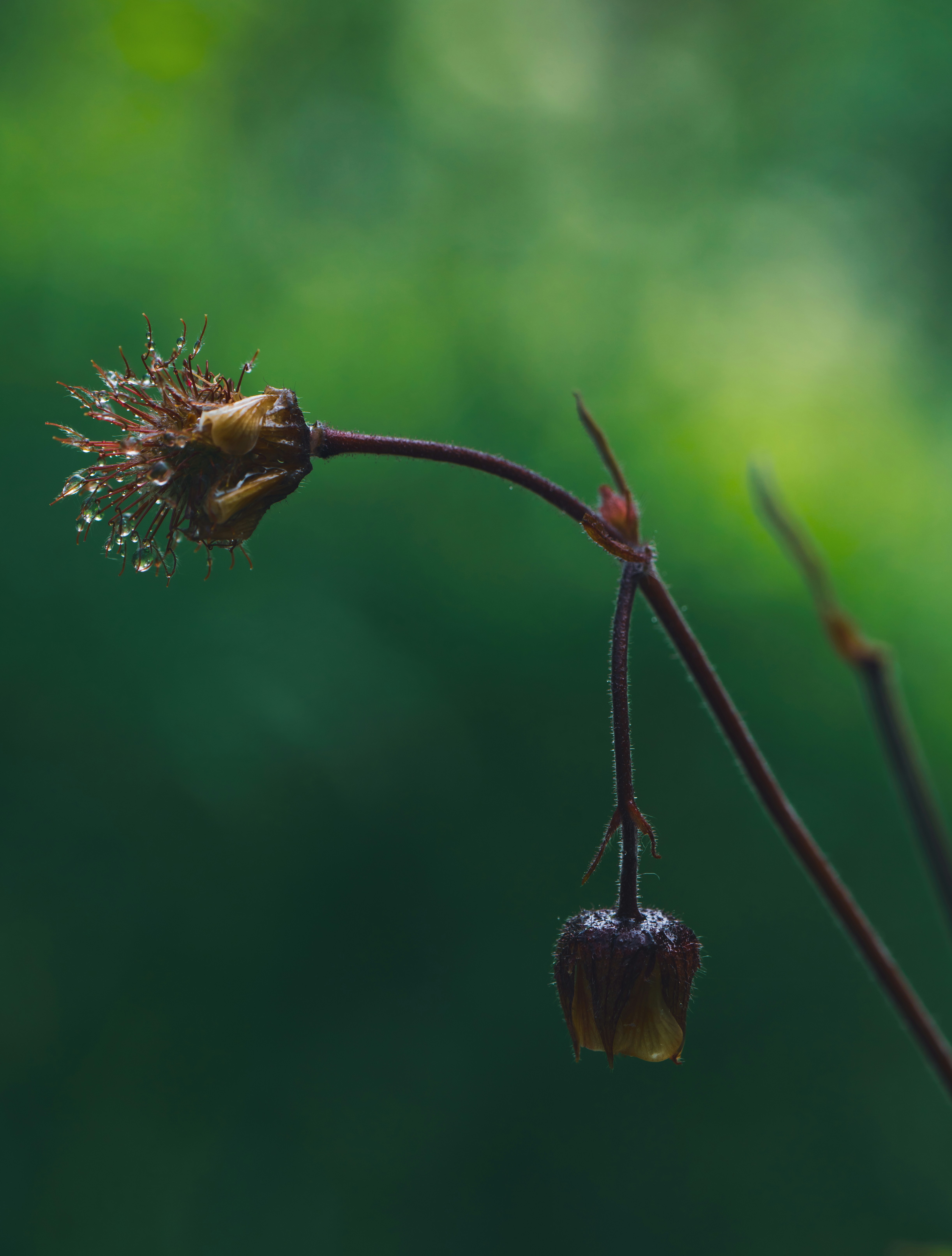 Photo by hellaren