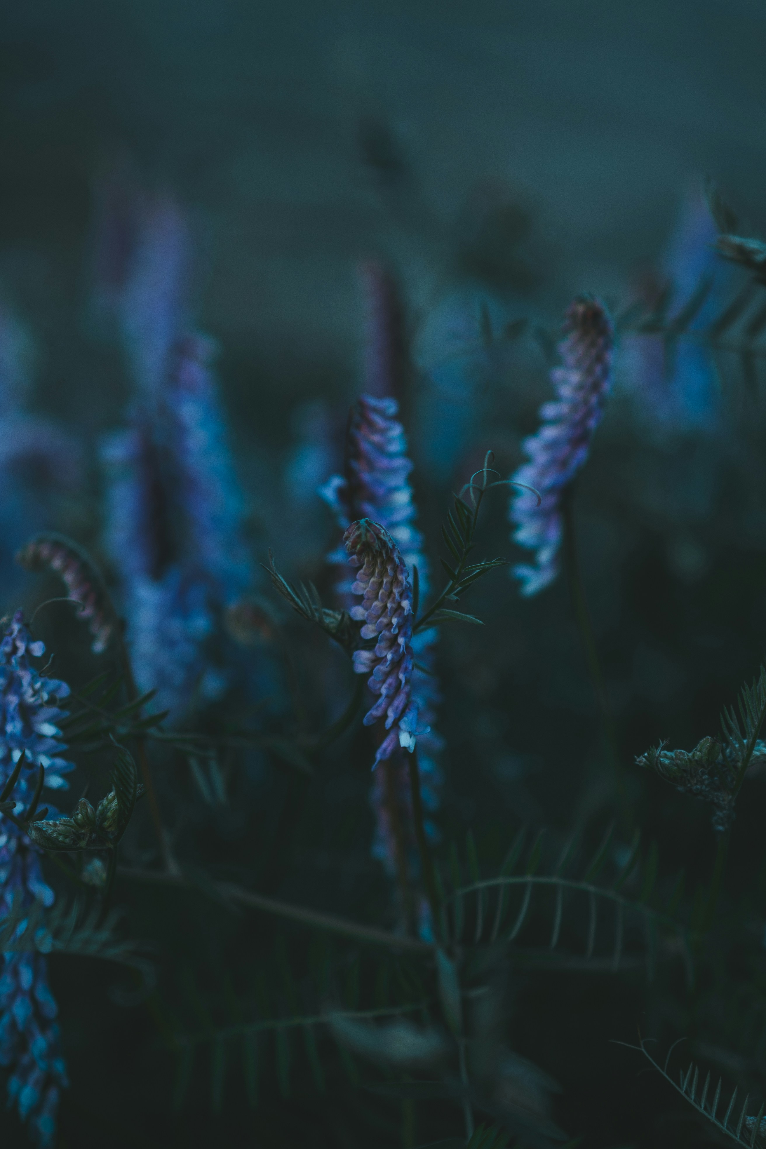 Photo by anamnesis33