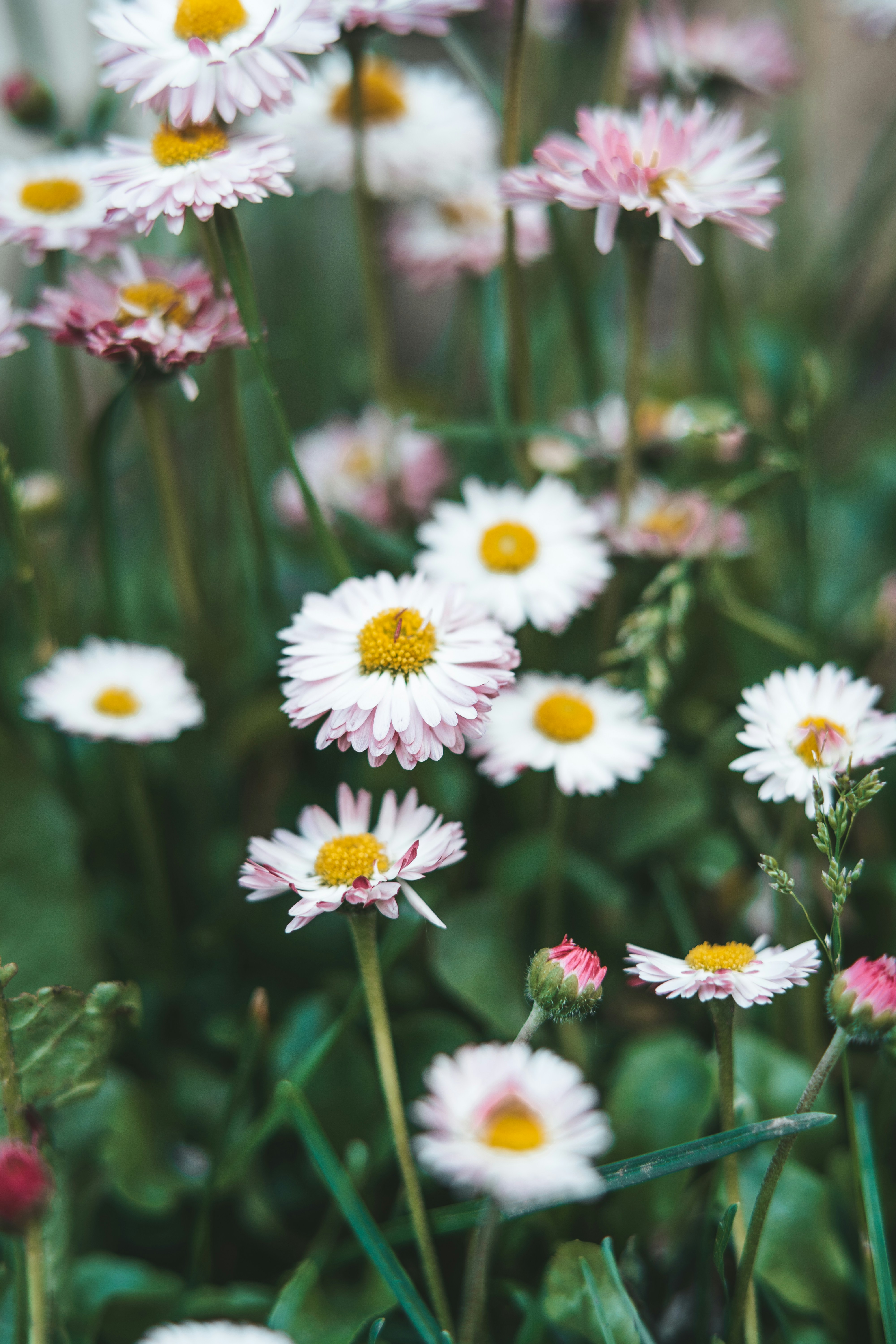 Photo by anamnesis33