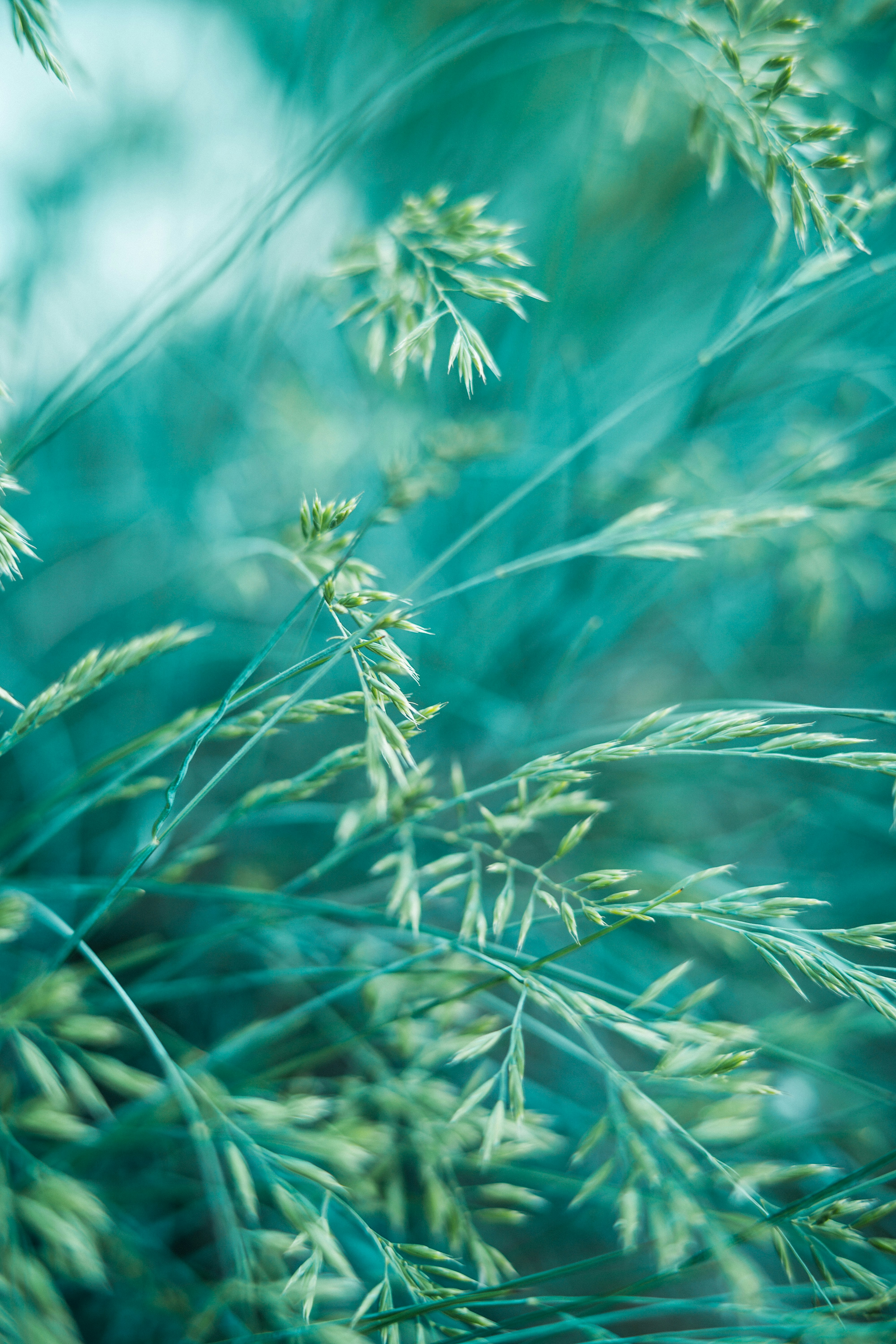 Photo by anamnesis33