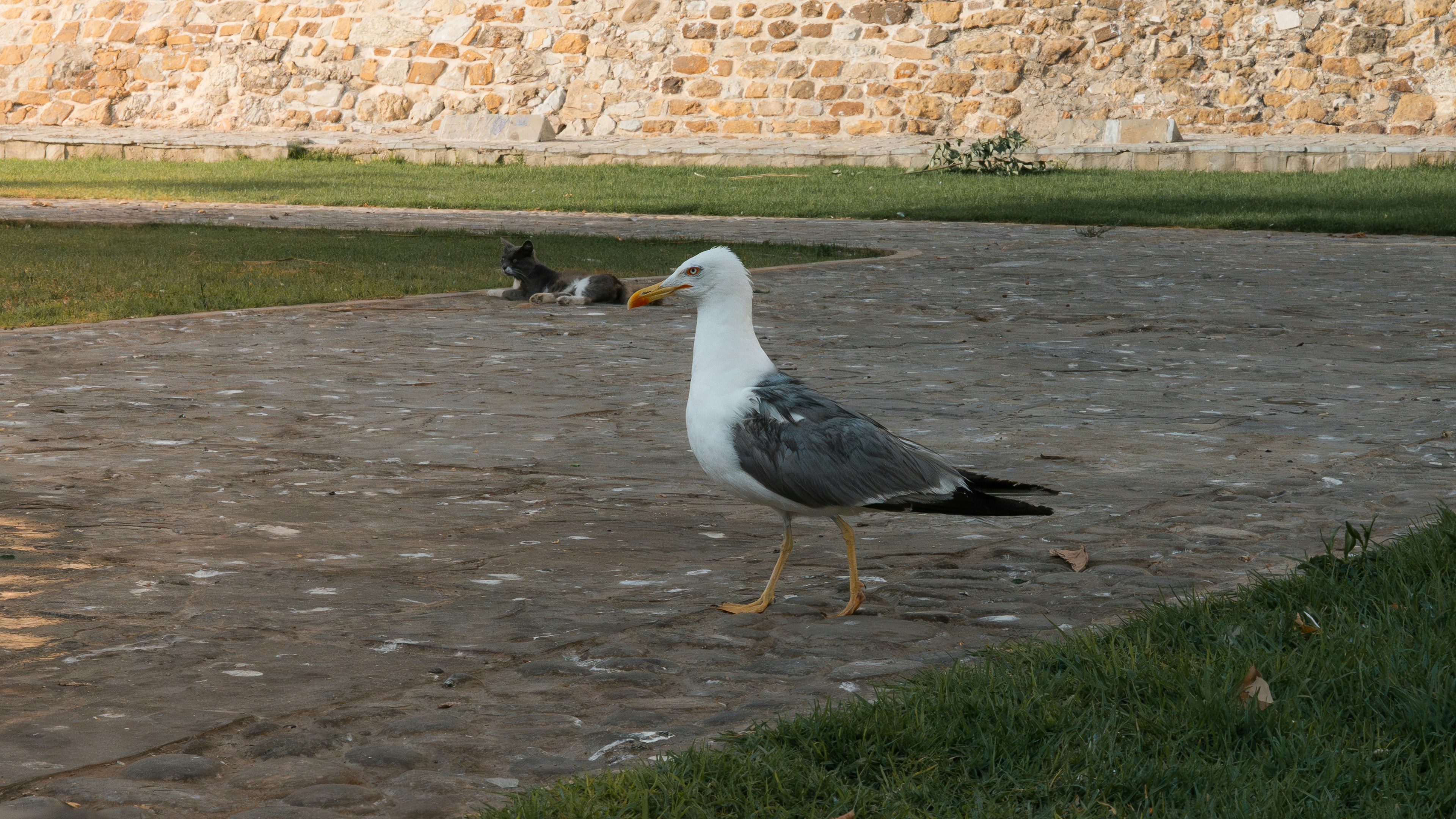 Photo by theemanofoth