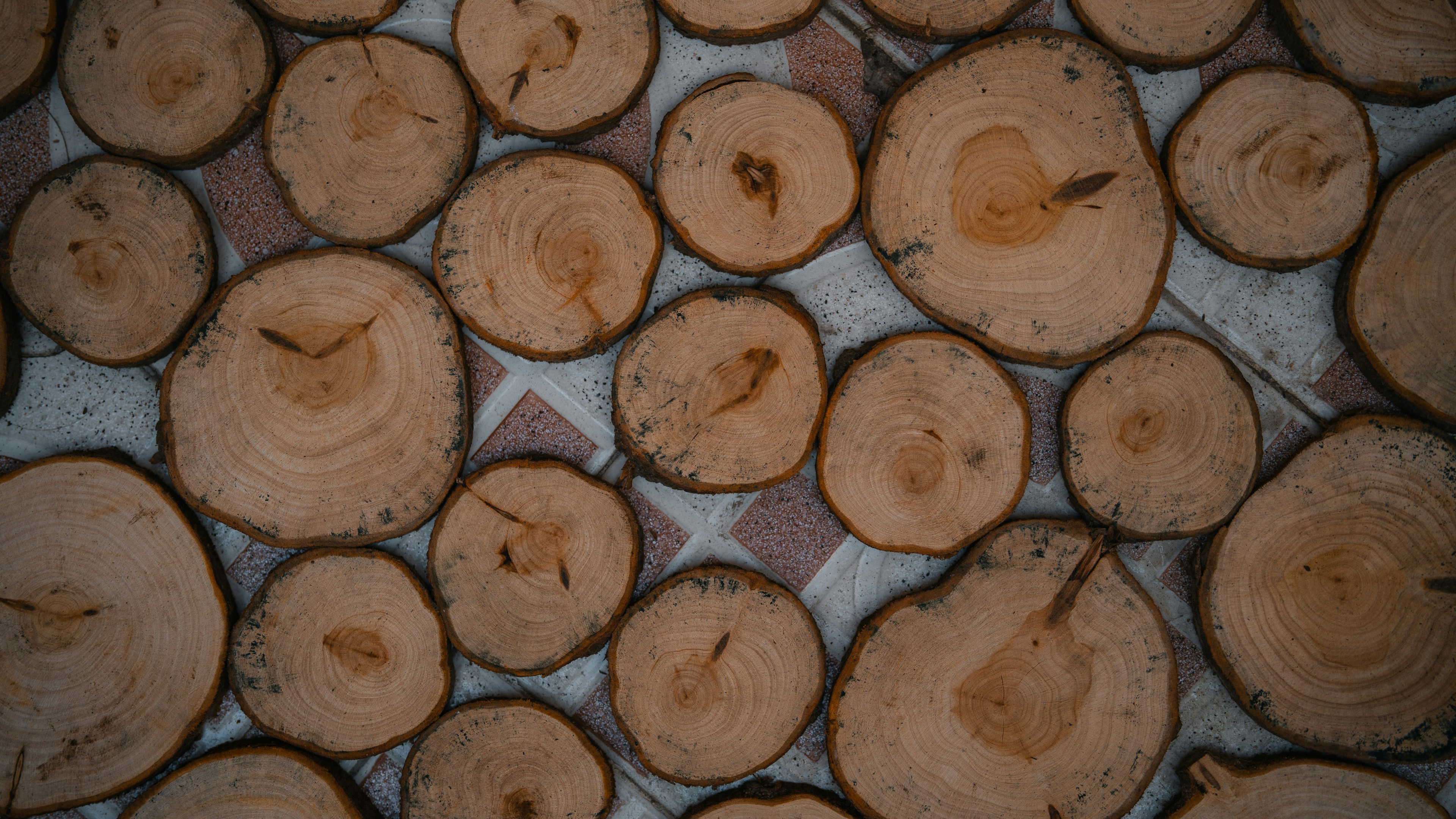 Photo by theemanofoth