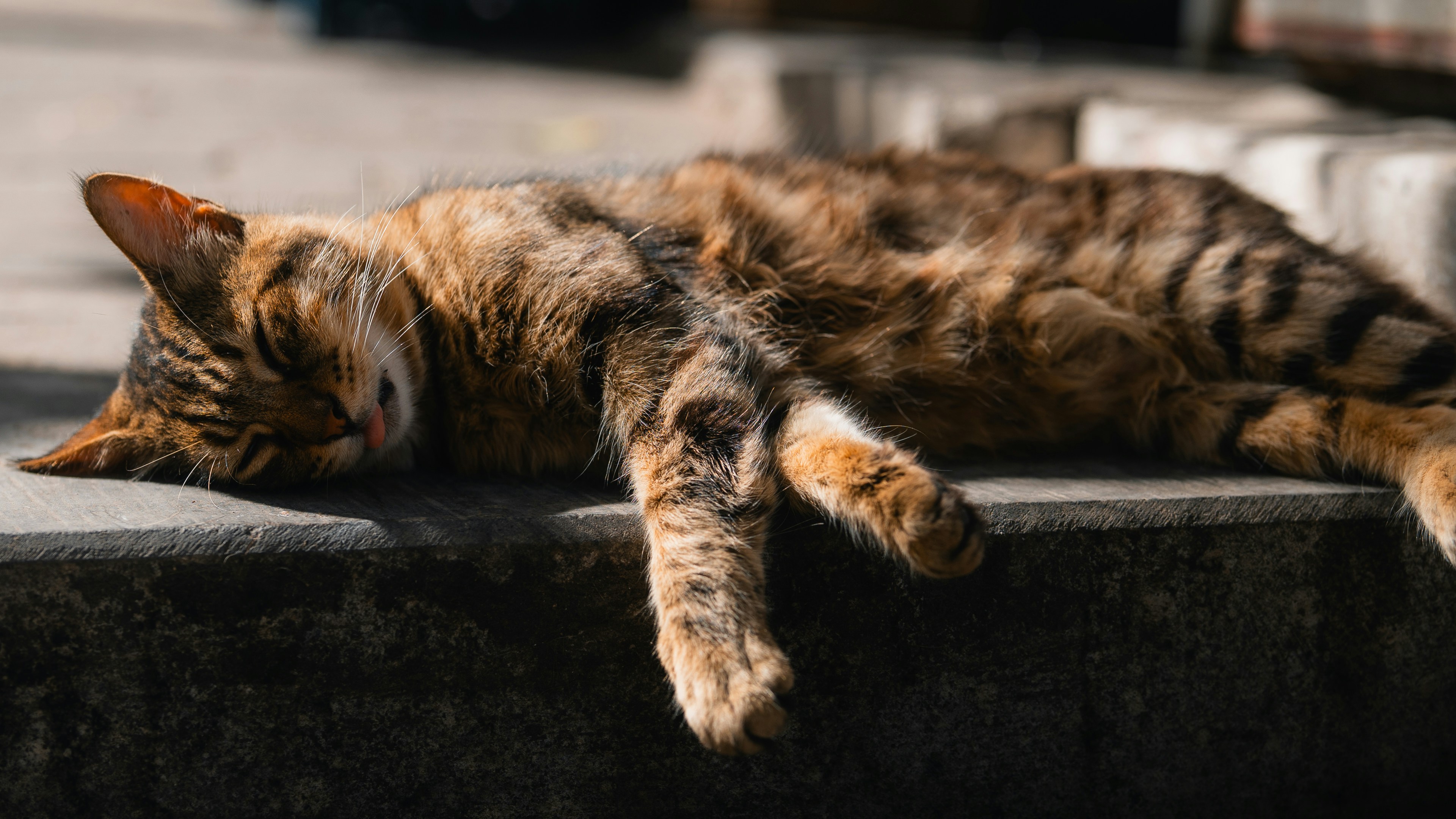 Photo by theemanofoth