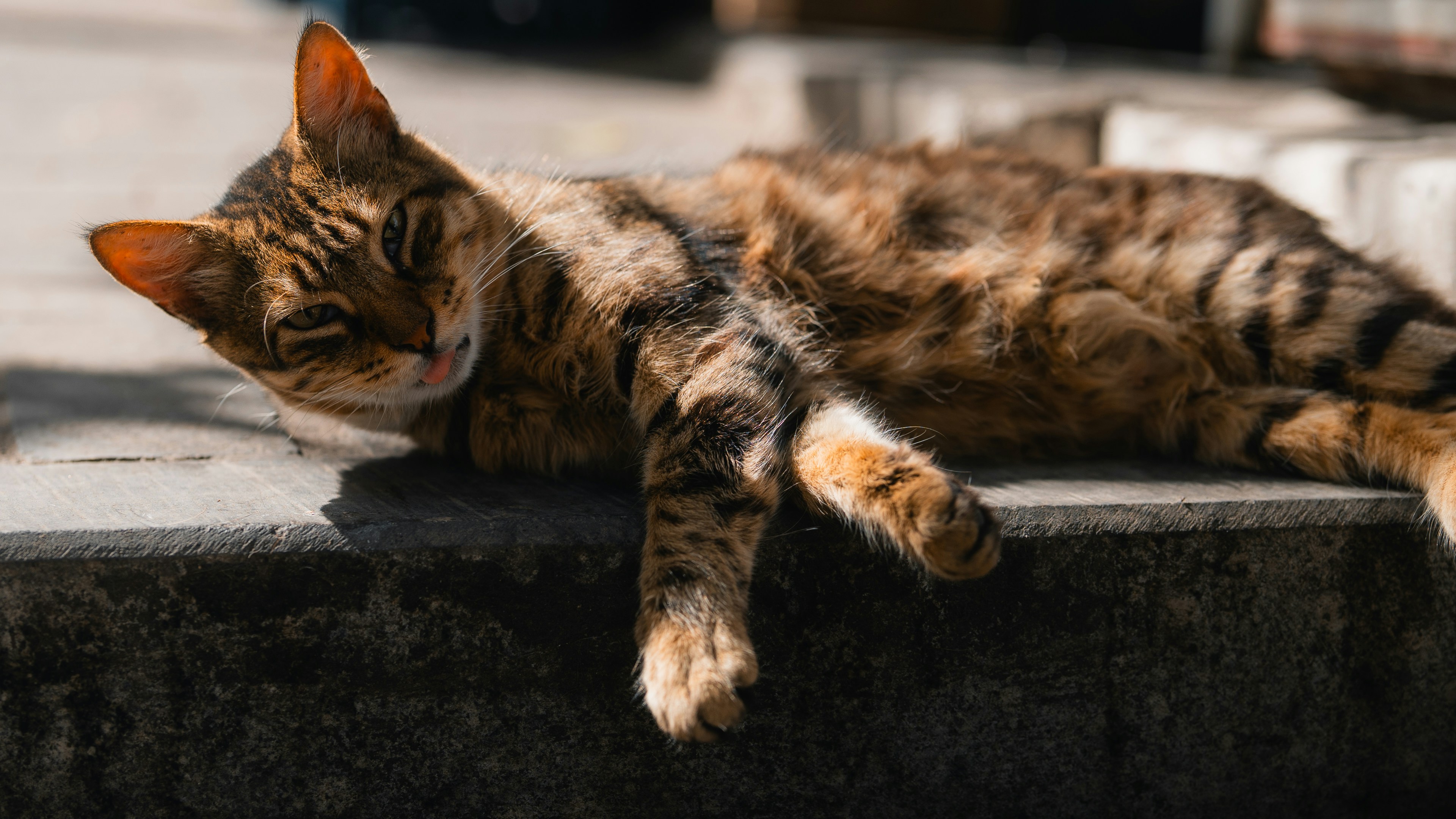 Photo by theemanofoth