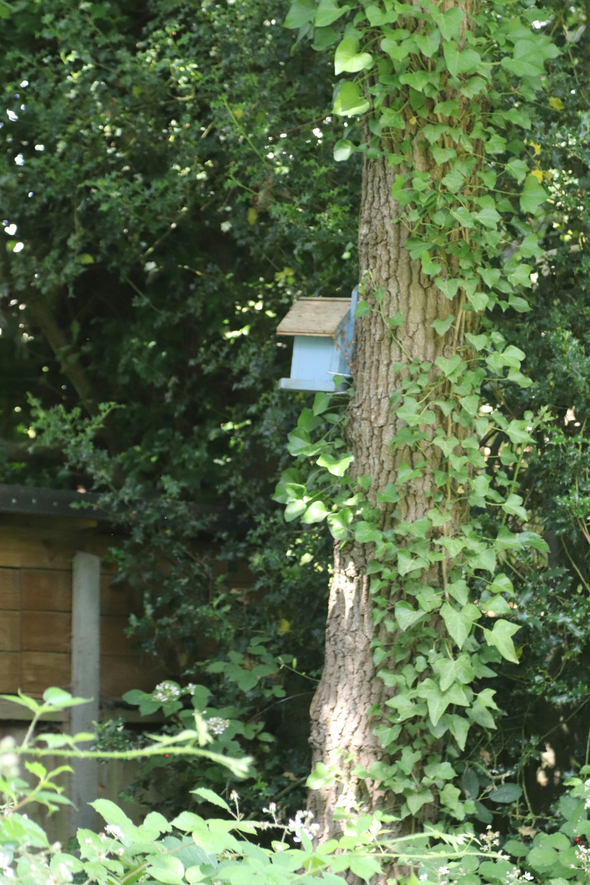 Photo by tanyabarrow