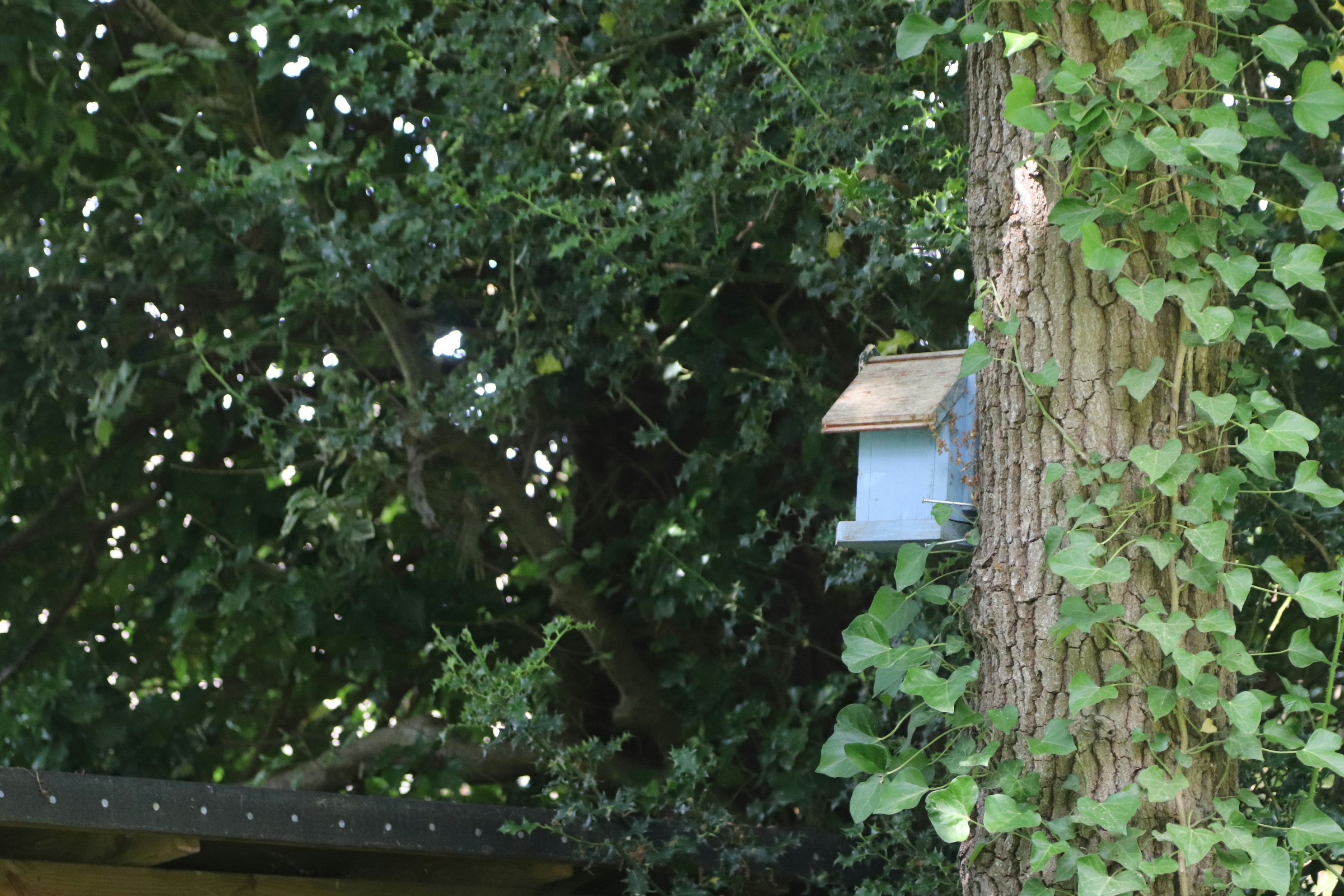 Photo by tanyabarrow