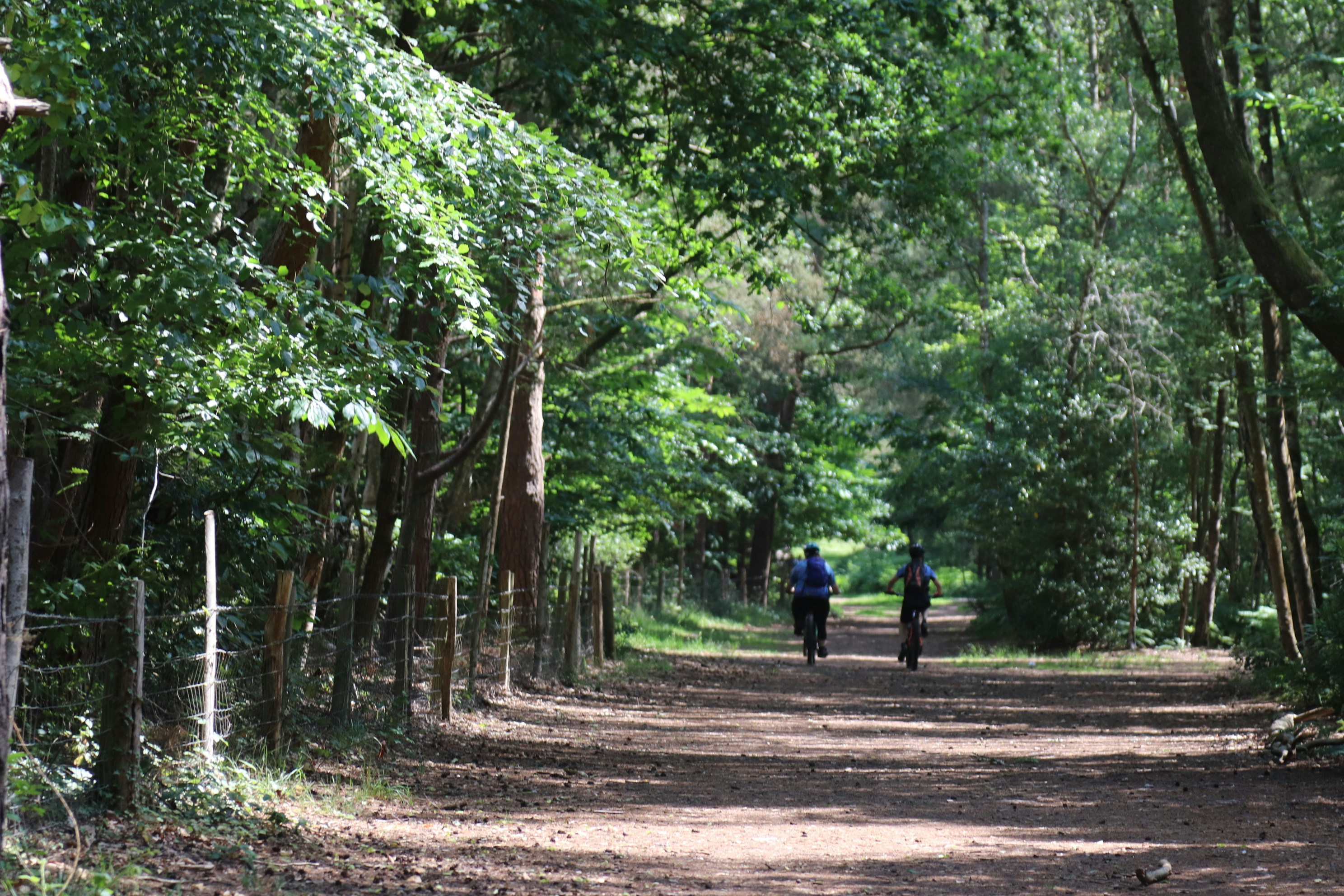 Photo by tanyabarrow